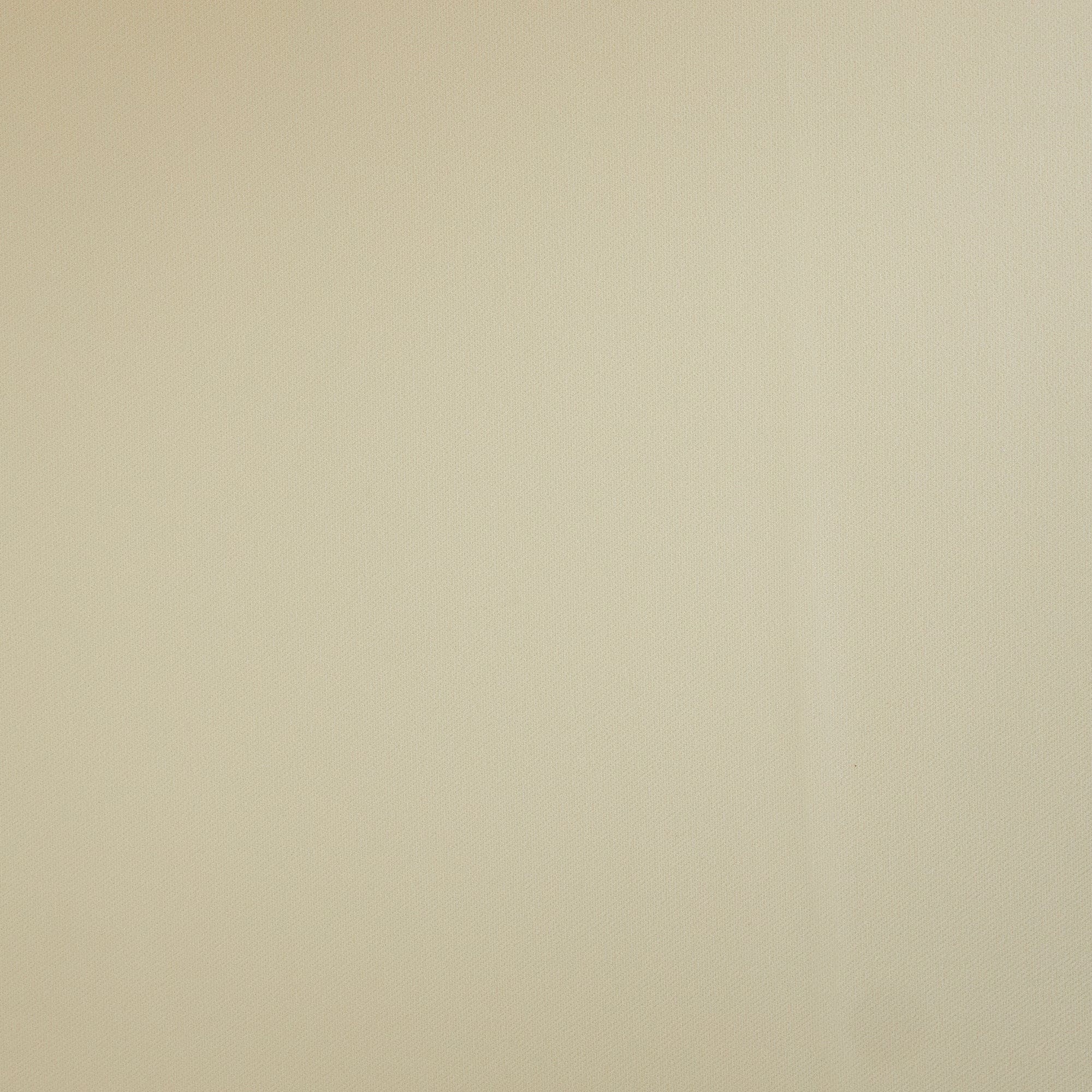 #color_PERFECT BEIGE