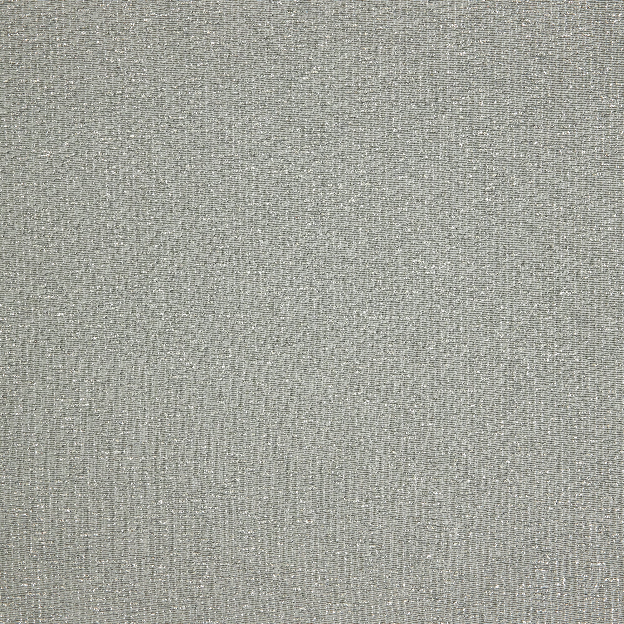 #color_PERFECT SILVER