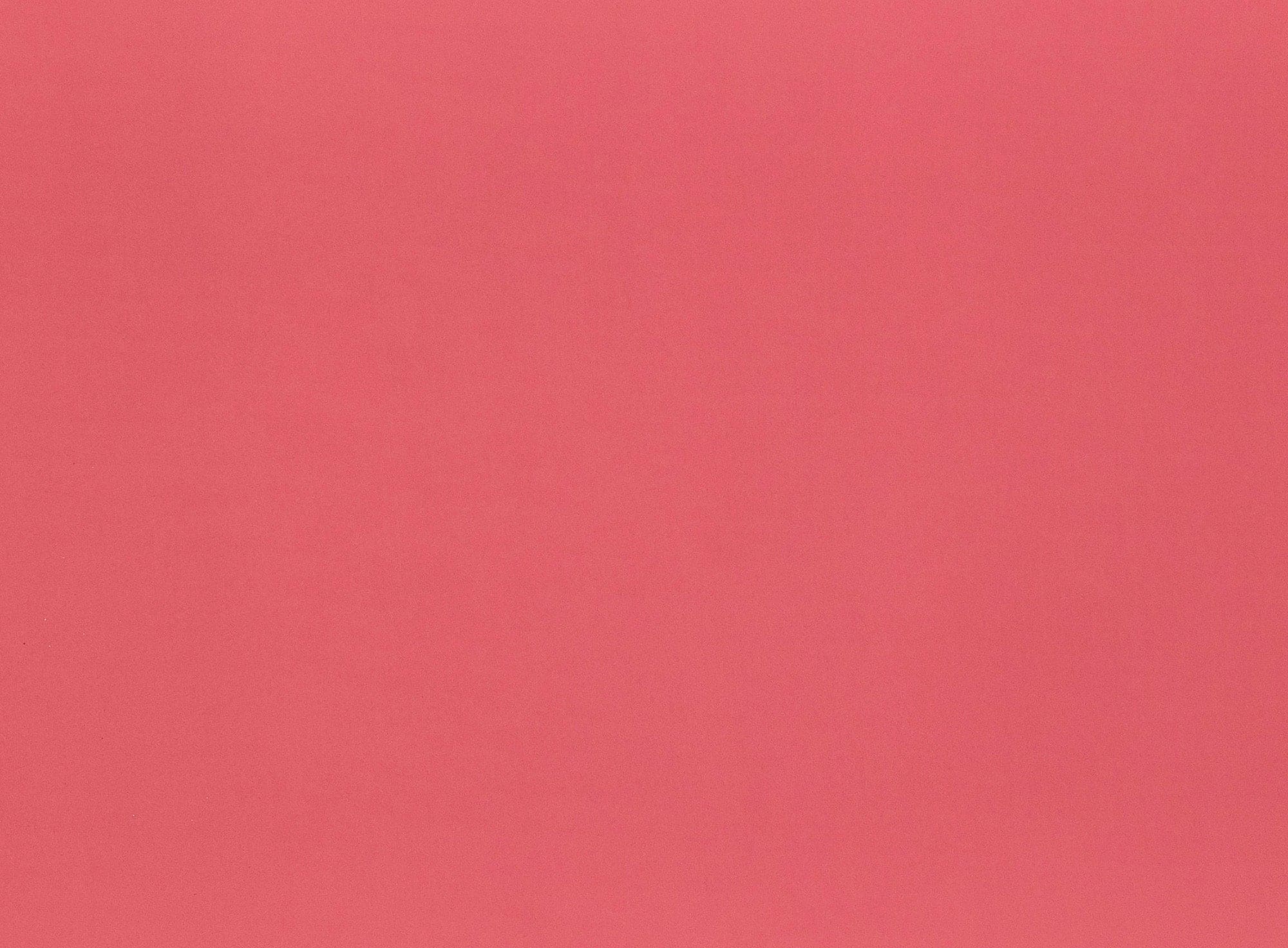 #color_C CANDY PINK