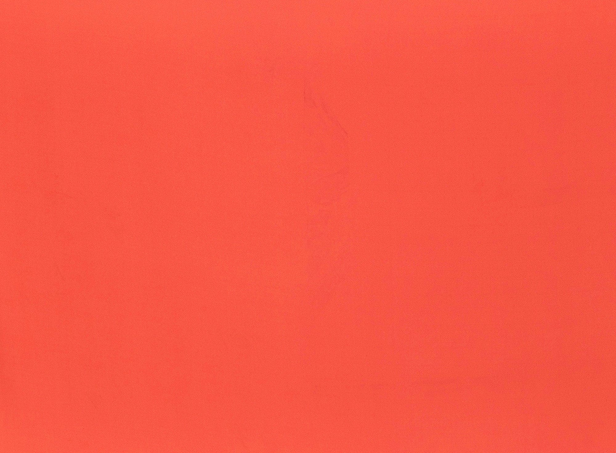 #color_C NEON CORAL