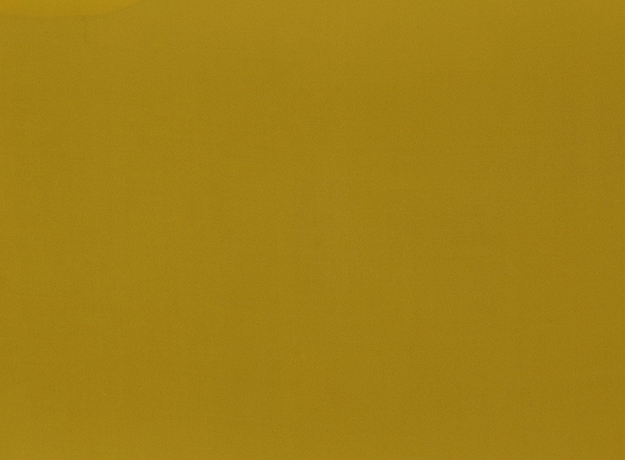 #color_C SQUASH
