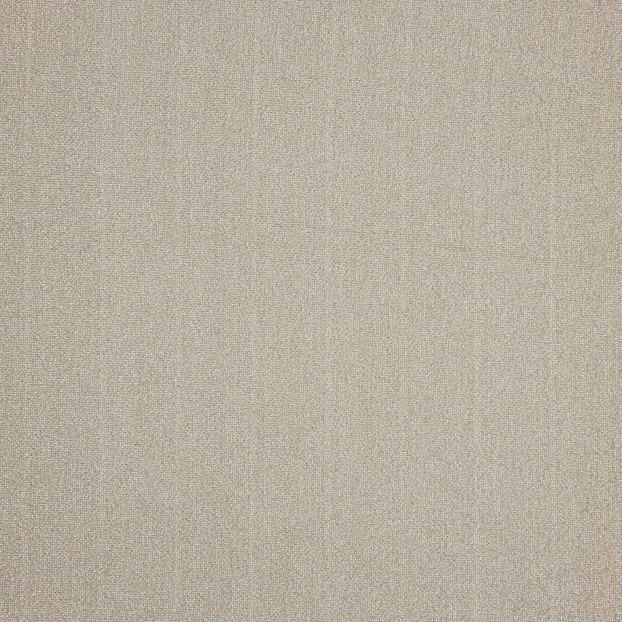 #color_CHAMPAGNE/SILVER
