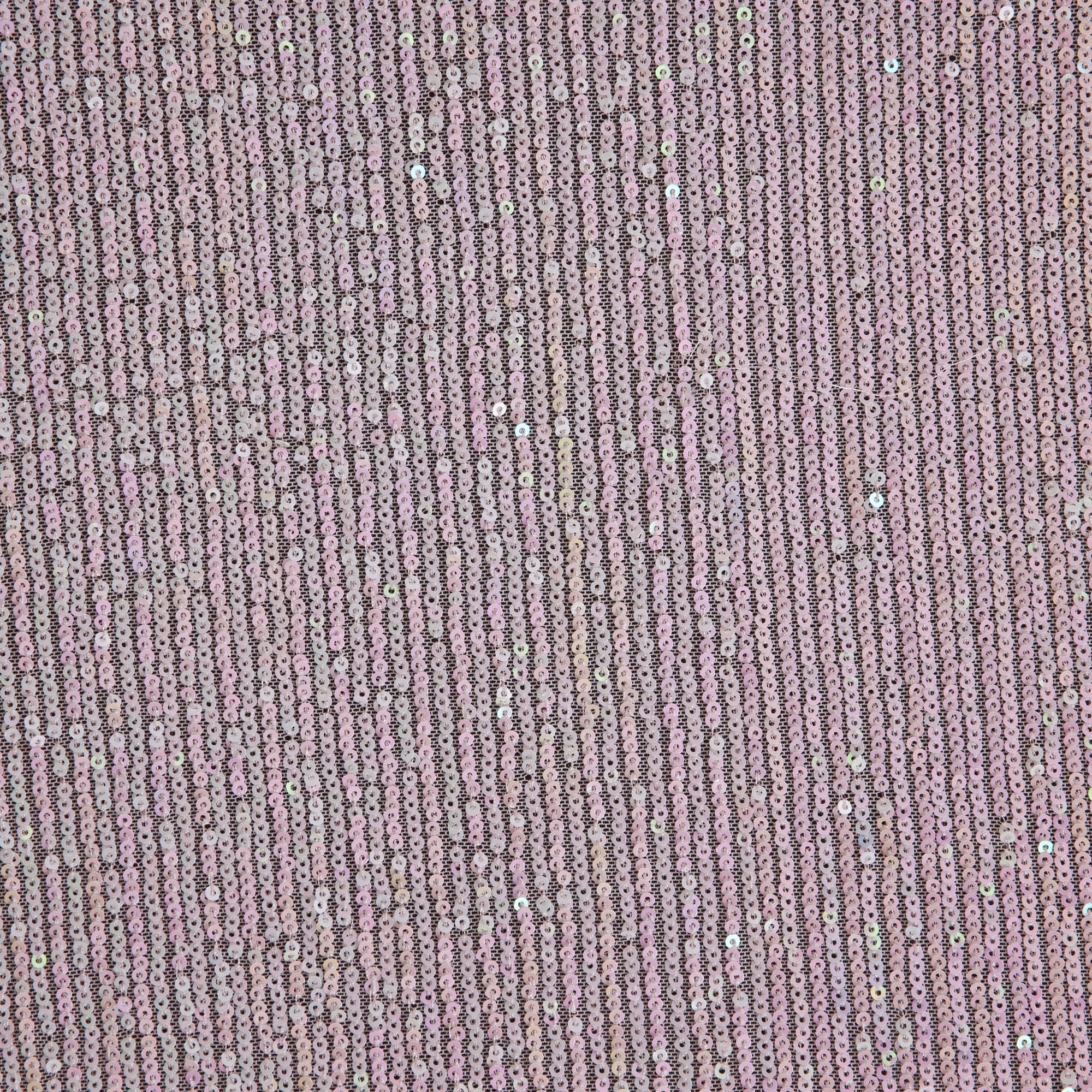 #color_ICE ROSE