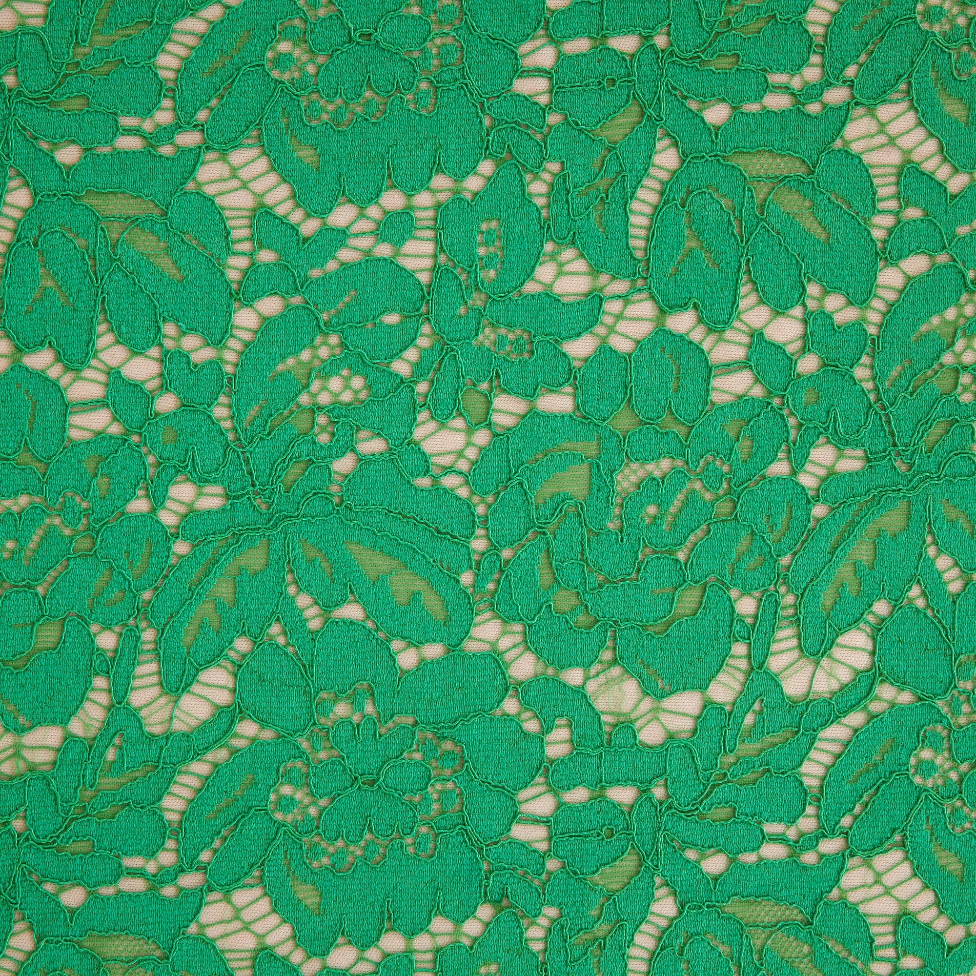 #color_MODERN EMERALD