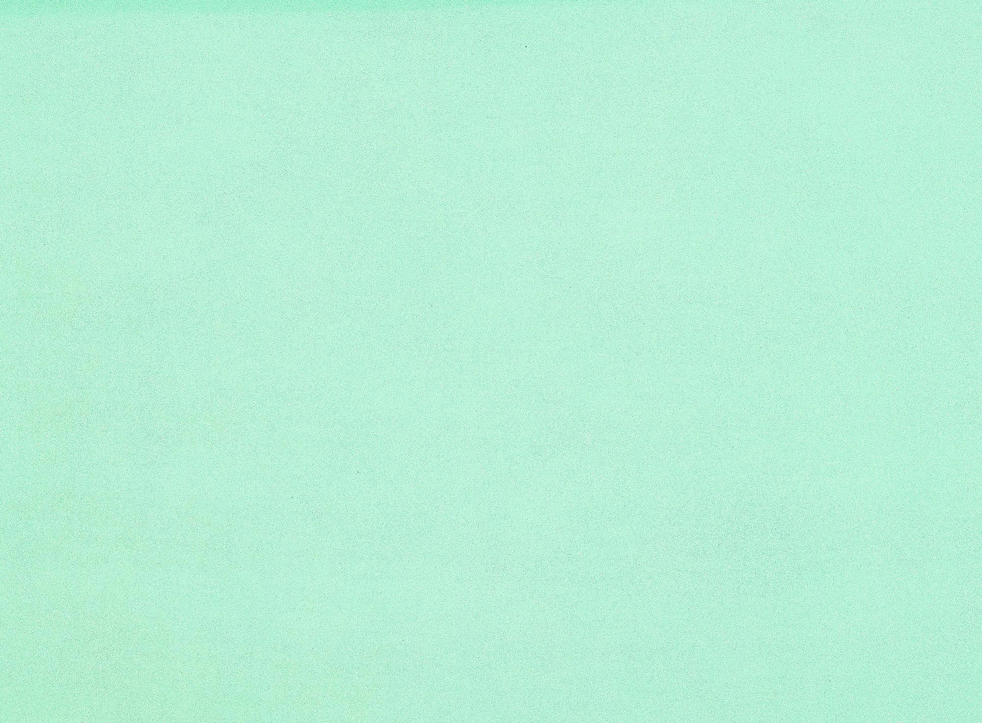 #color_PISTACHIO DEW