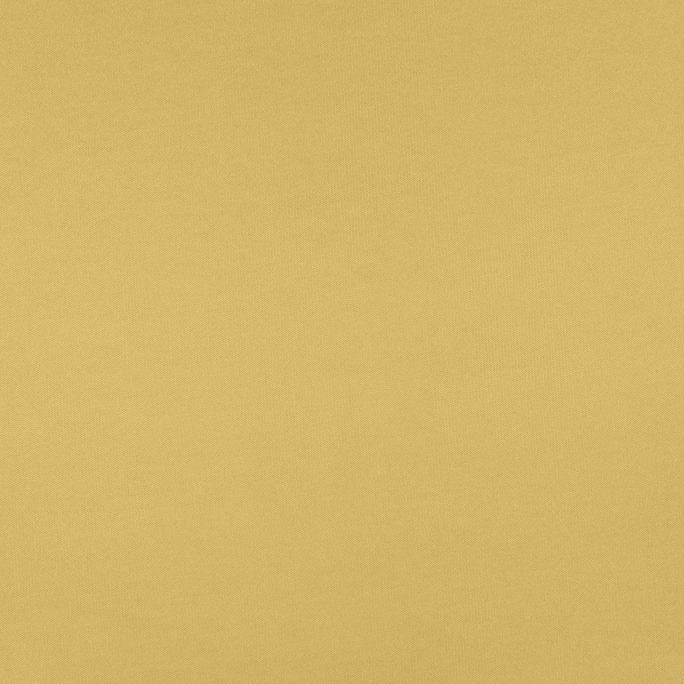 #color_BA YELLOW