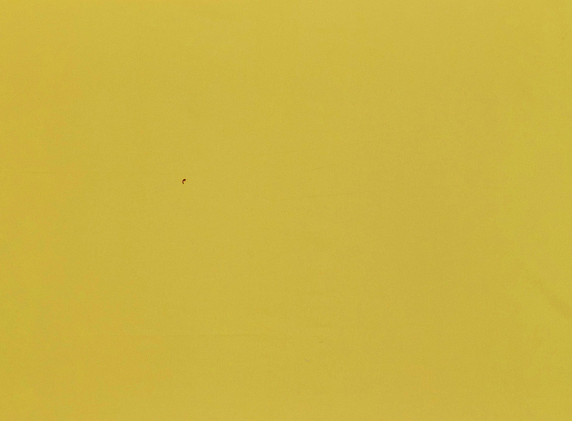 #color_555 YELLOW