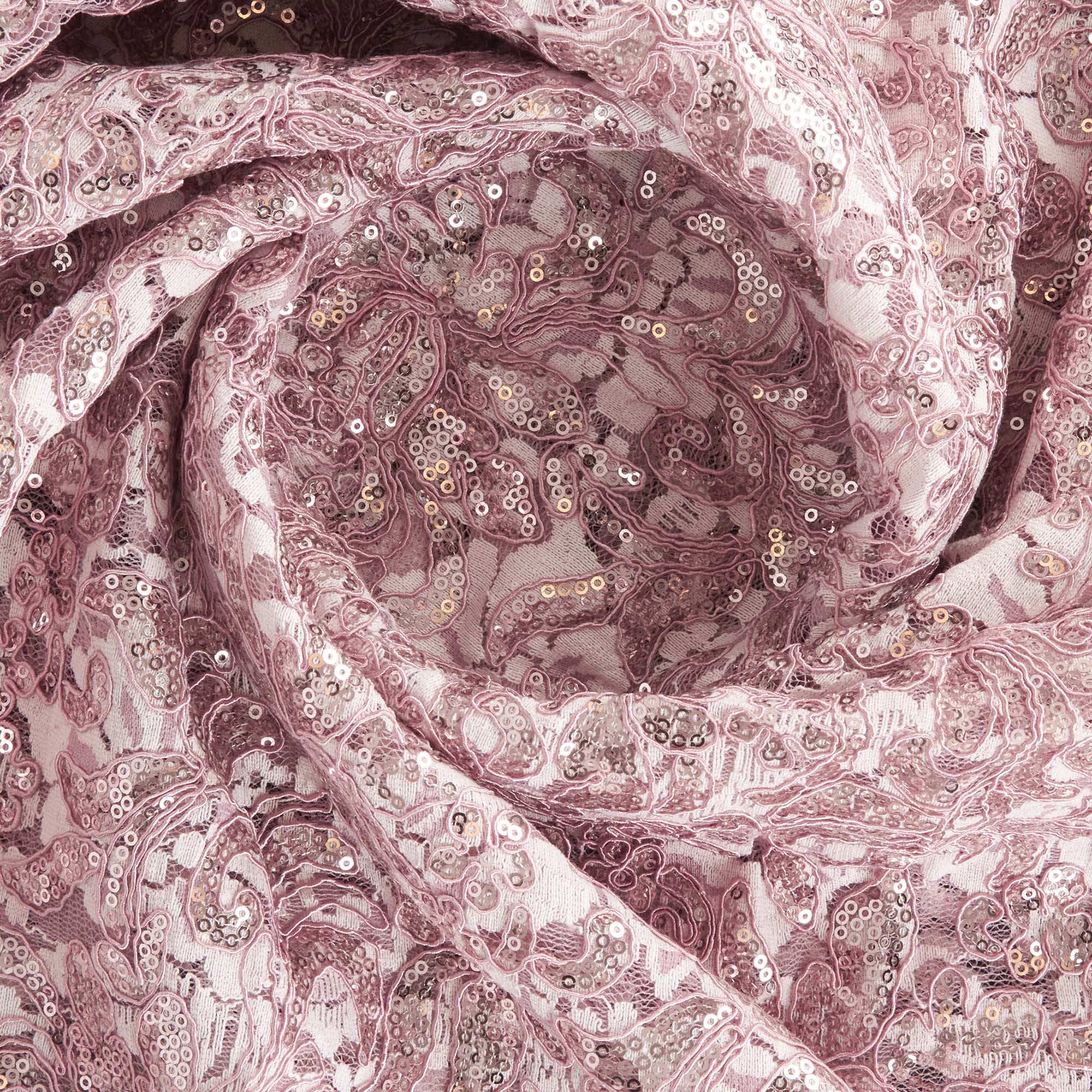 #color_PERFECT ROSE