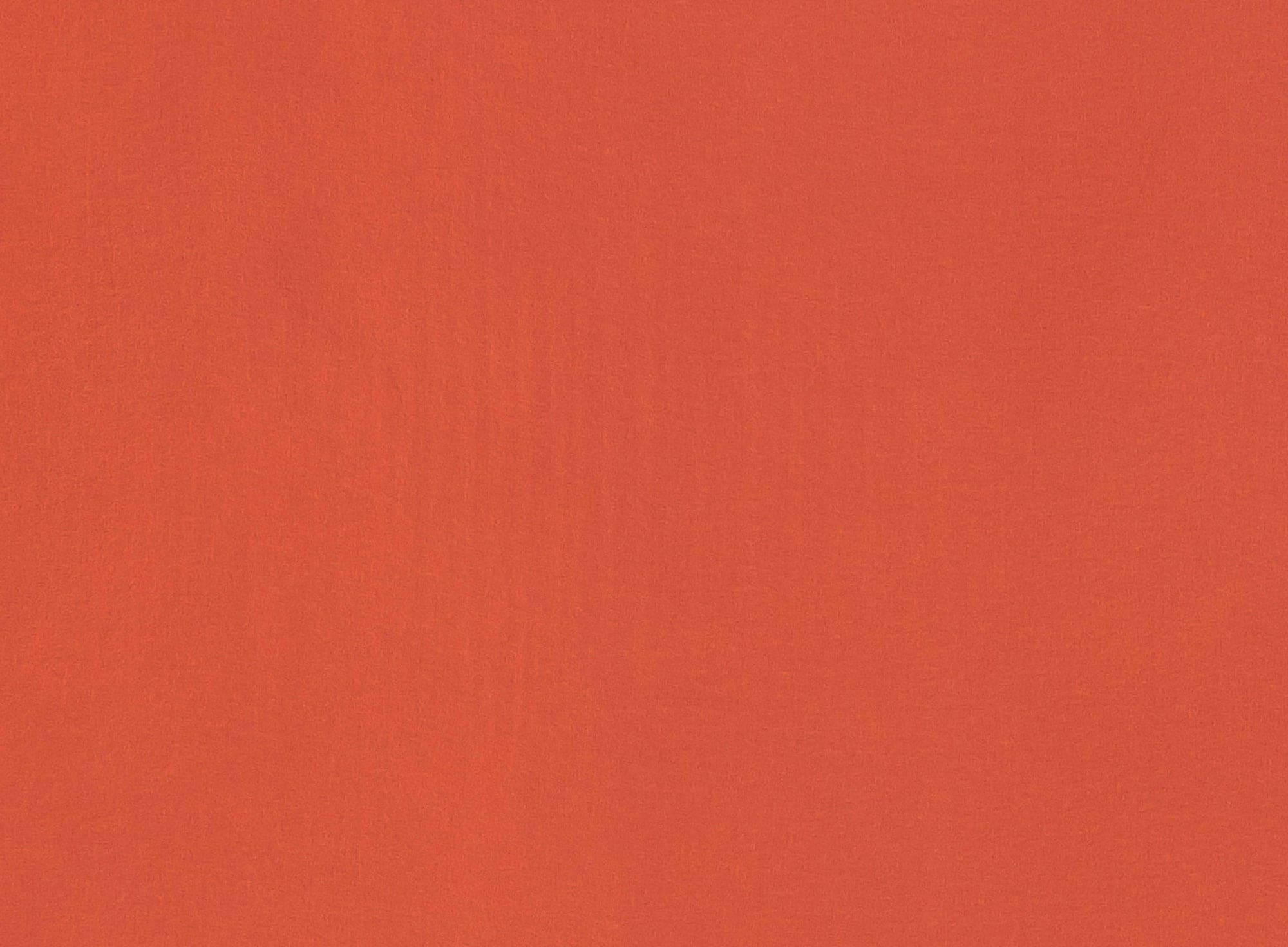 #color_NEON CORAL