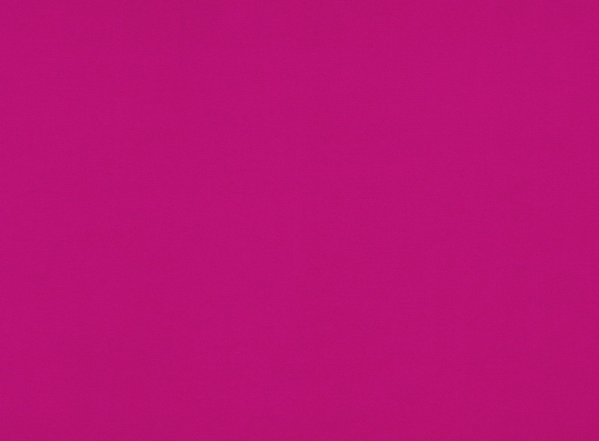 #color_HOLIDAY ZINNIA