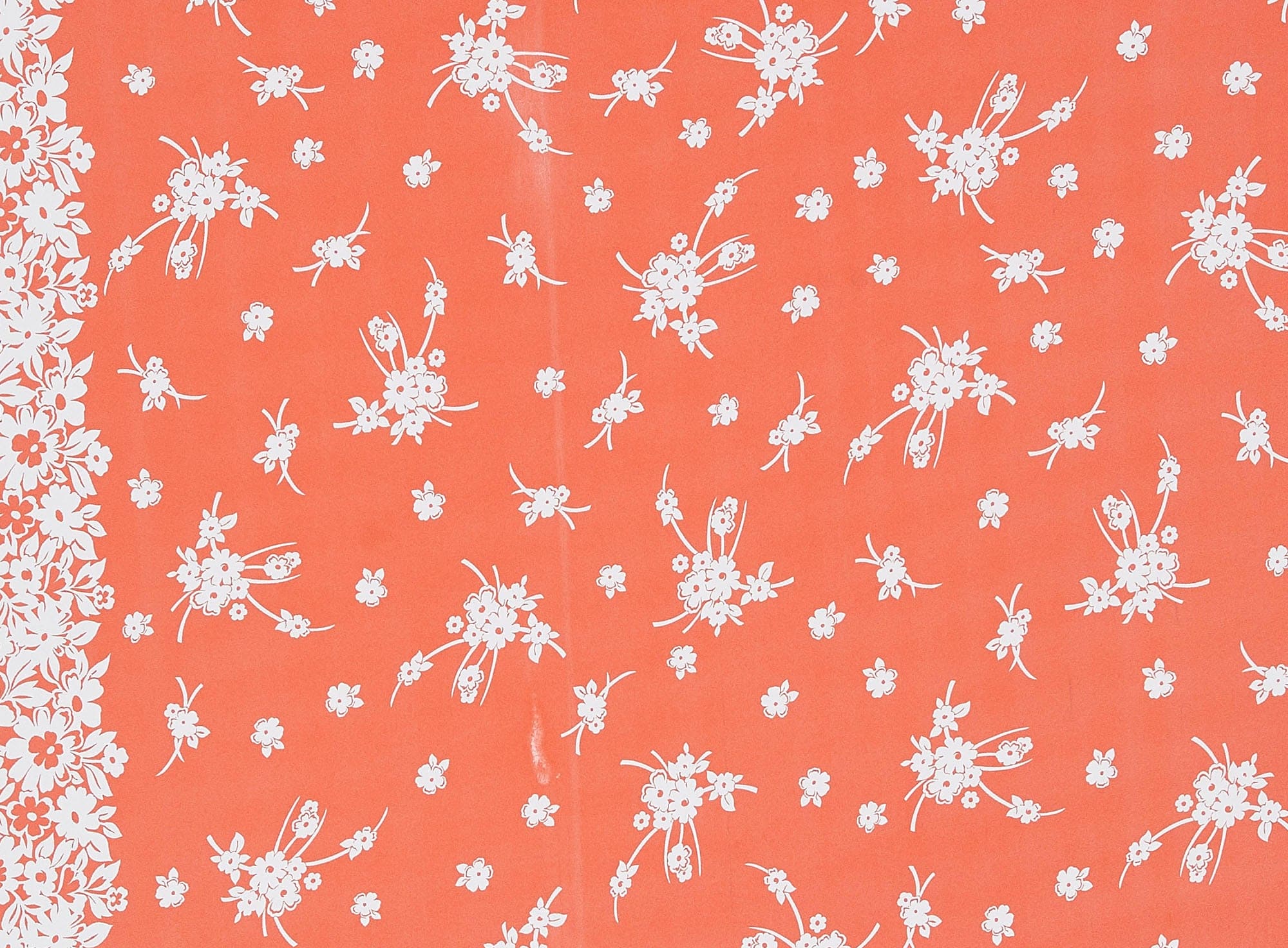 #color_811 CORAL/WHITE