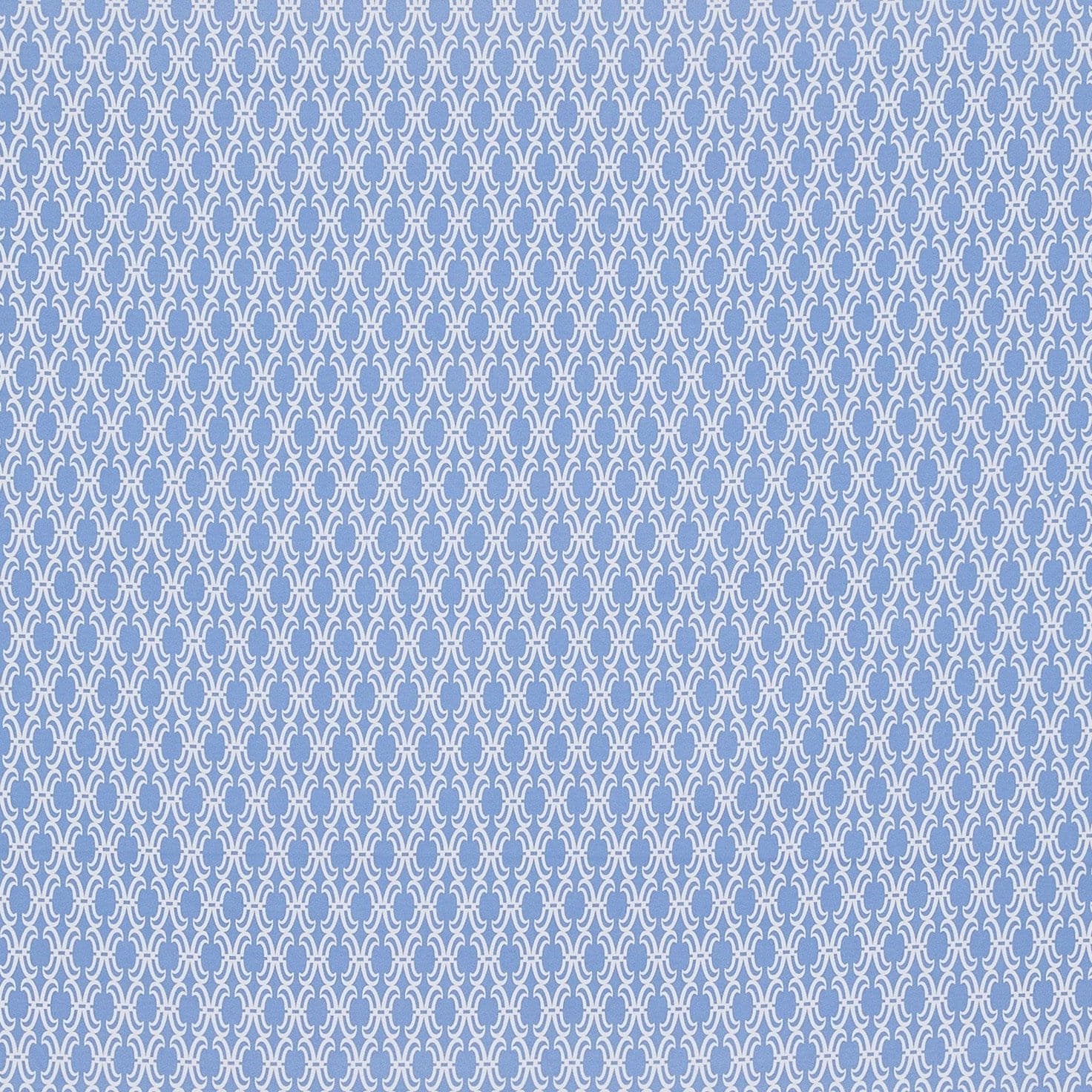 #color_114 BLUE/WHITE