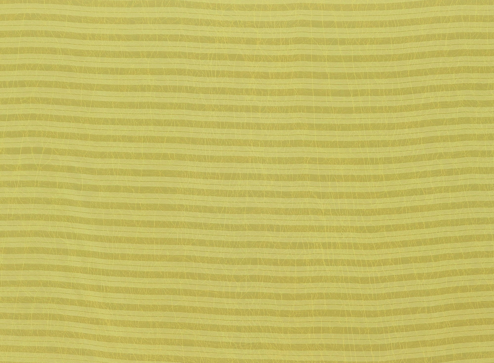 #color_555 LEMON