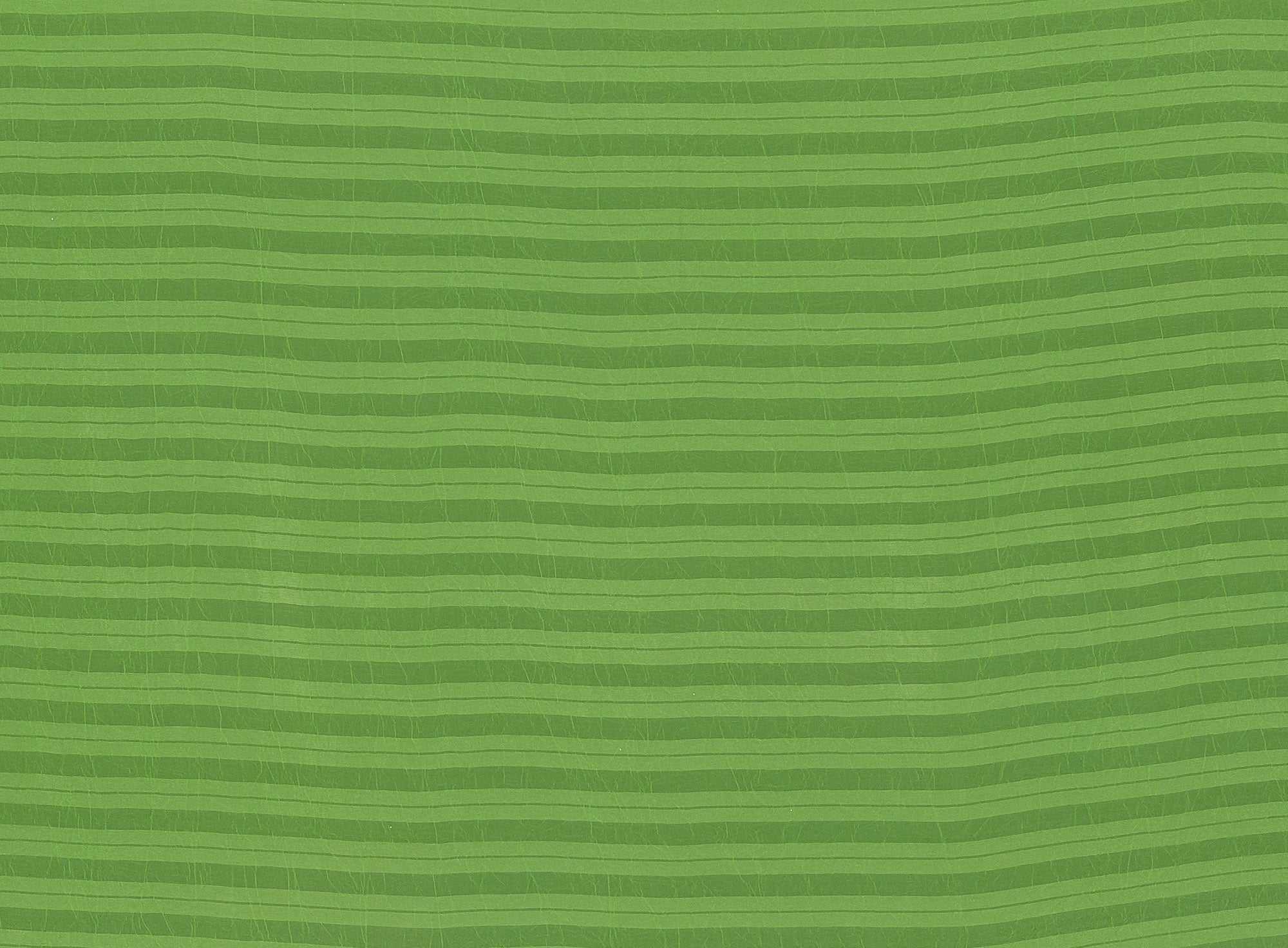 #color_771 LIME