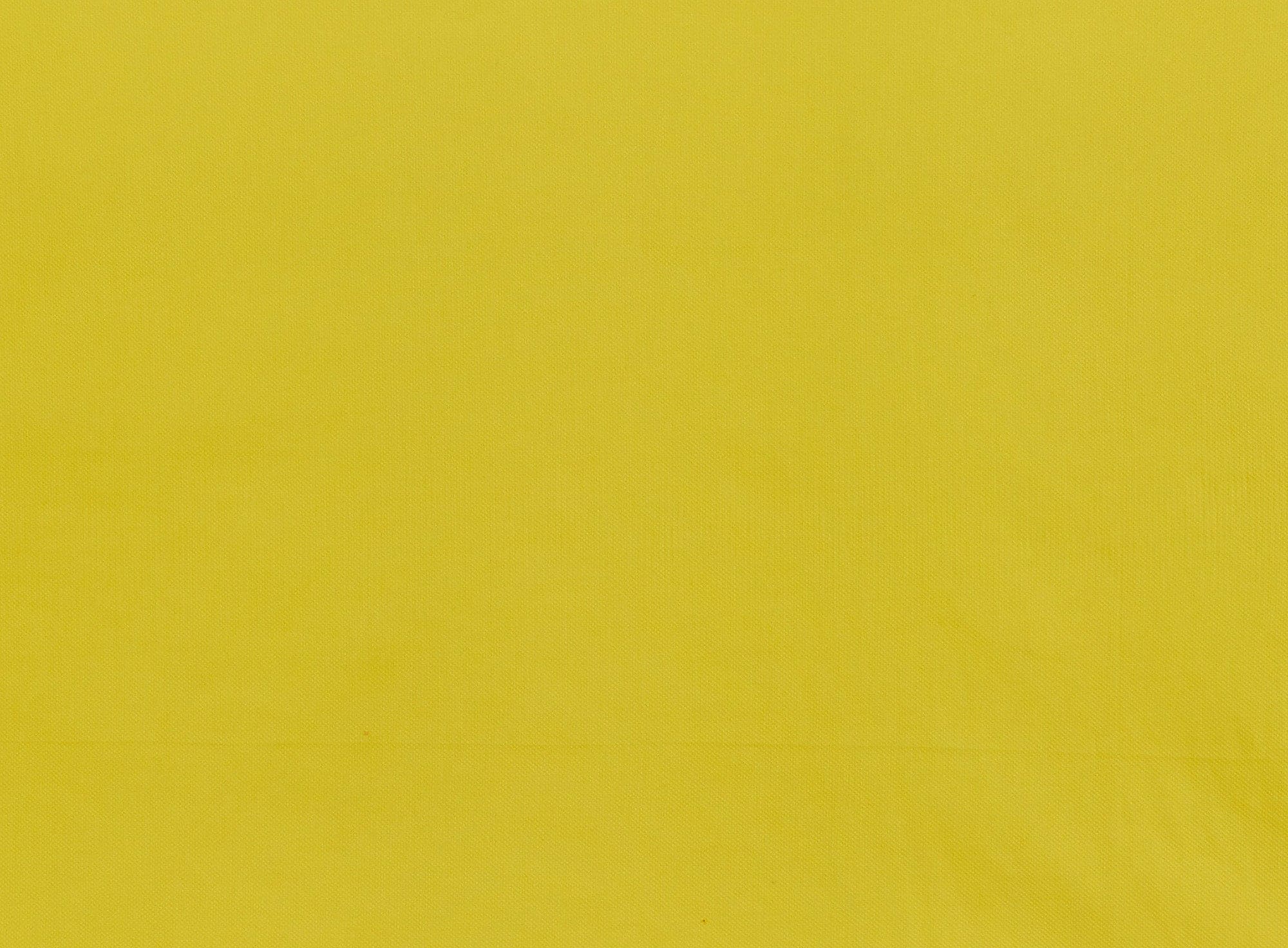 #color_555 SUNNY YELLO
