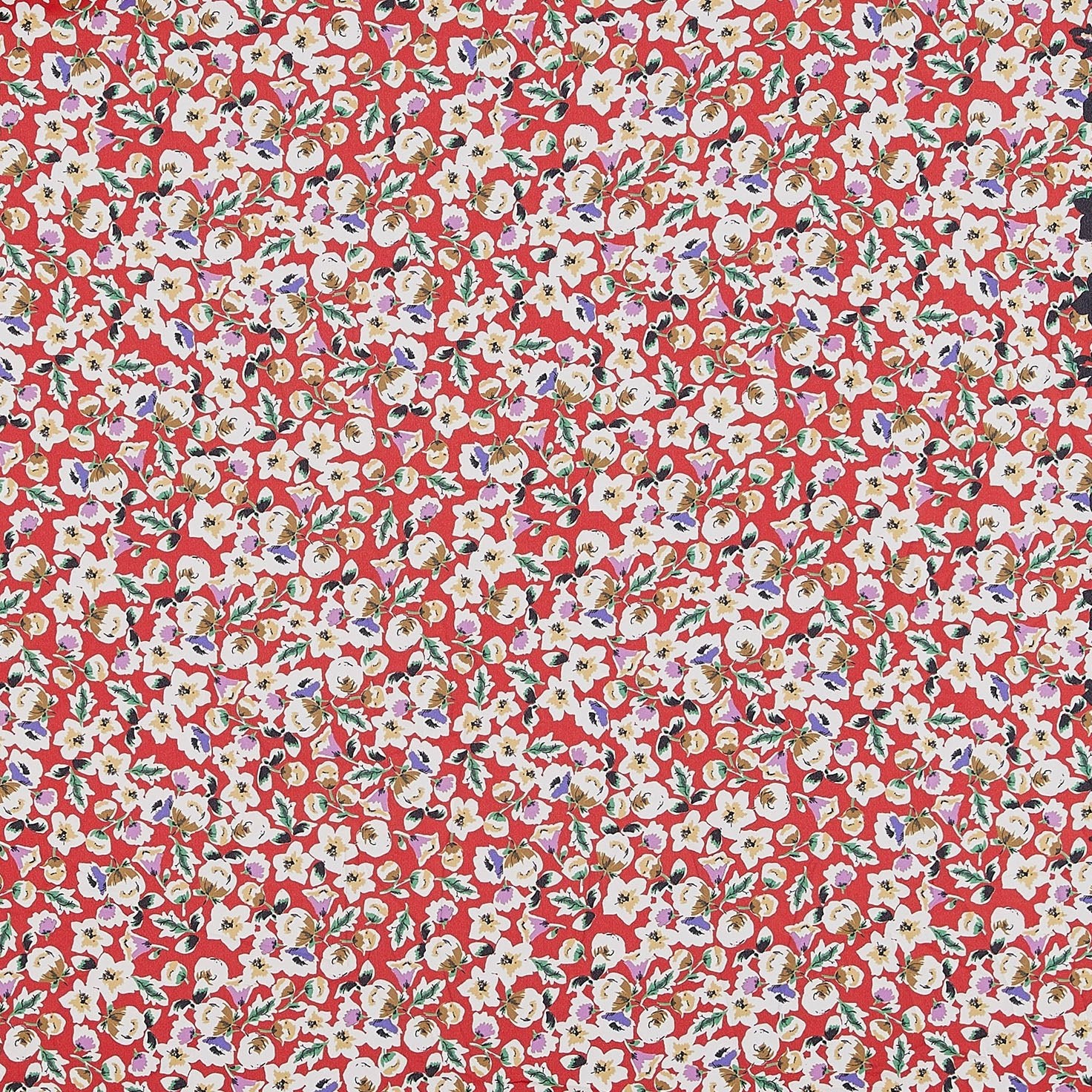 #color_359 RED/BLACK