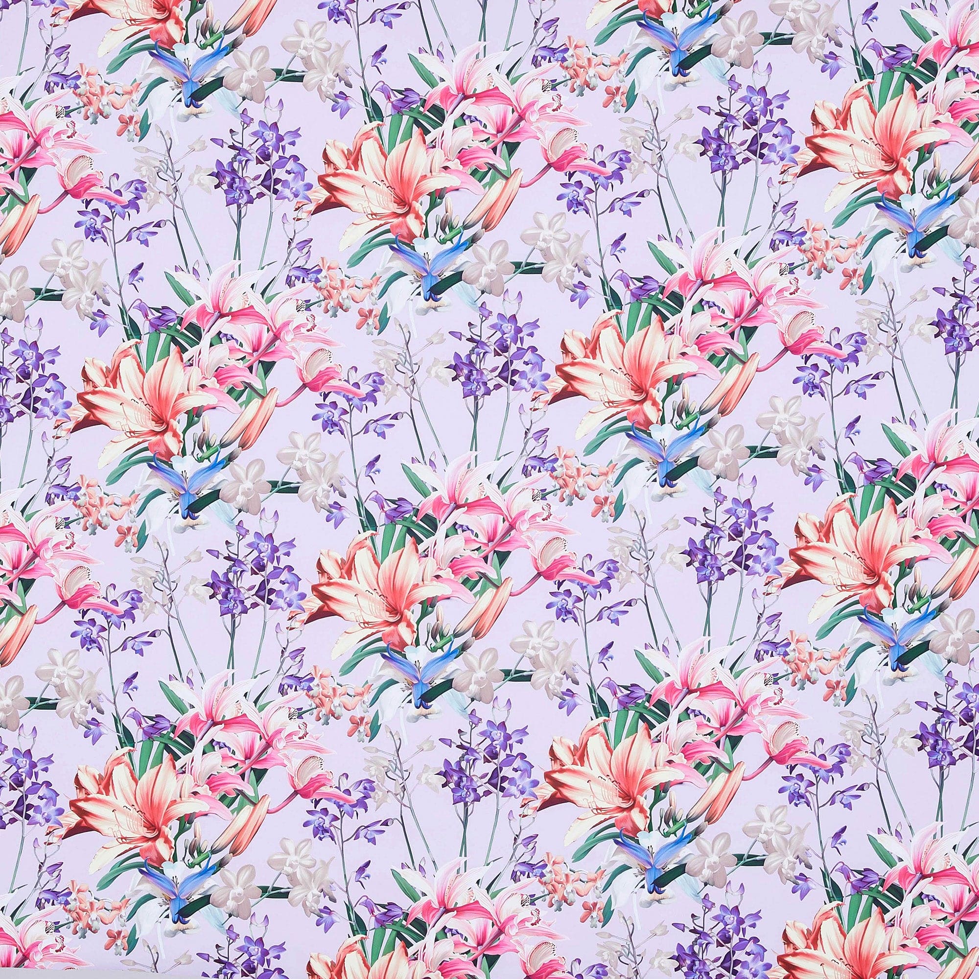 #color_682 LILAC/CORAL