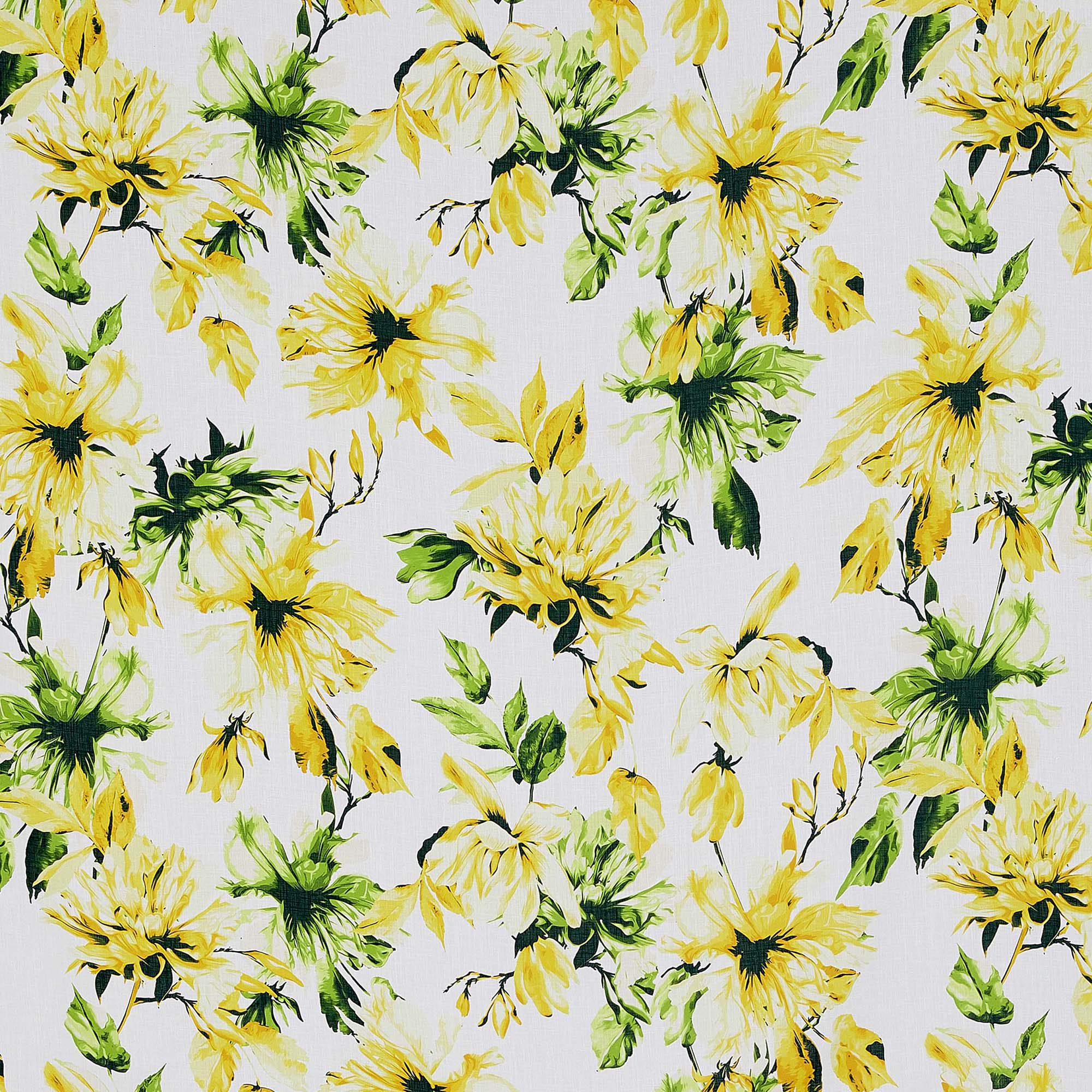 #color_517 LEMON/LIME