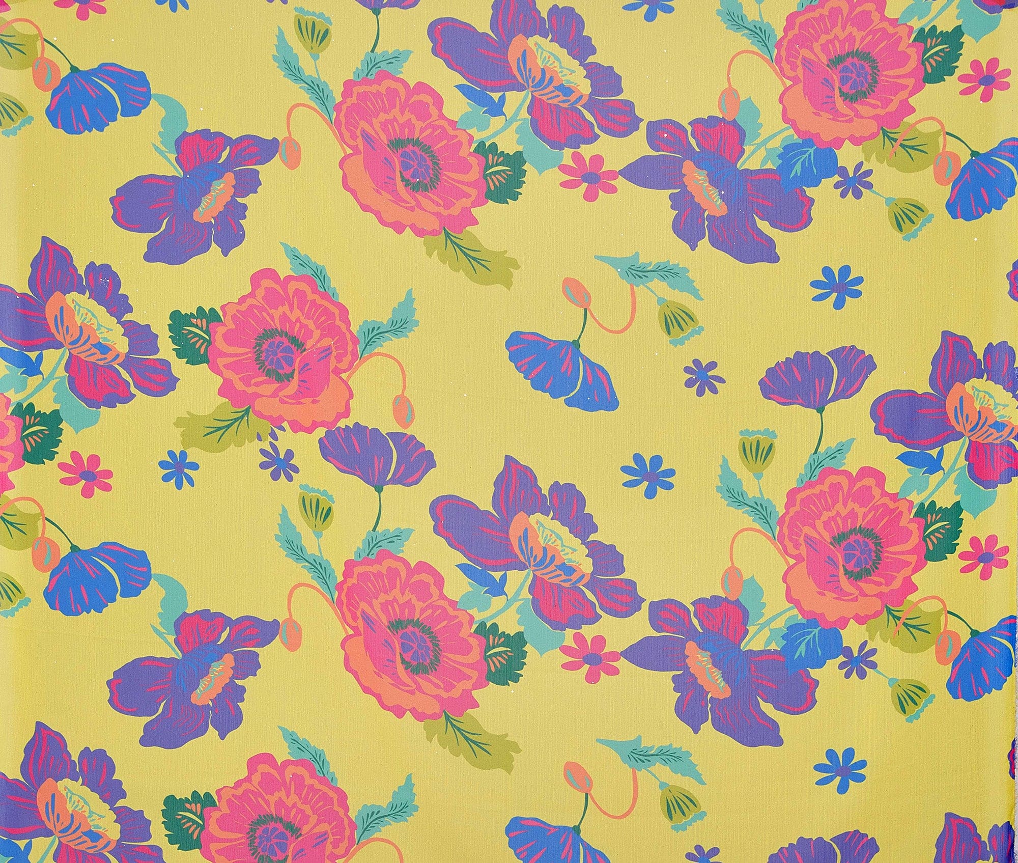 #color_567 LEMON/PURPL
