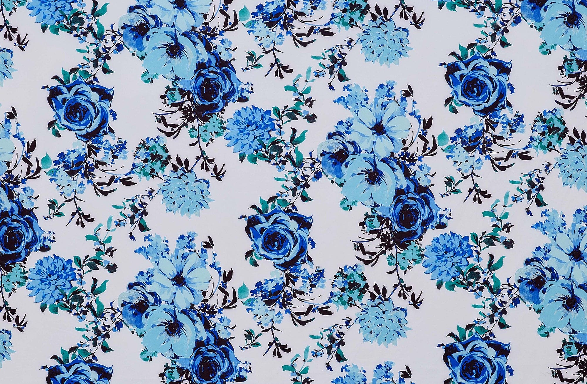 #color_114 WHITE/BLUE