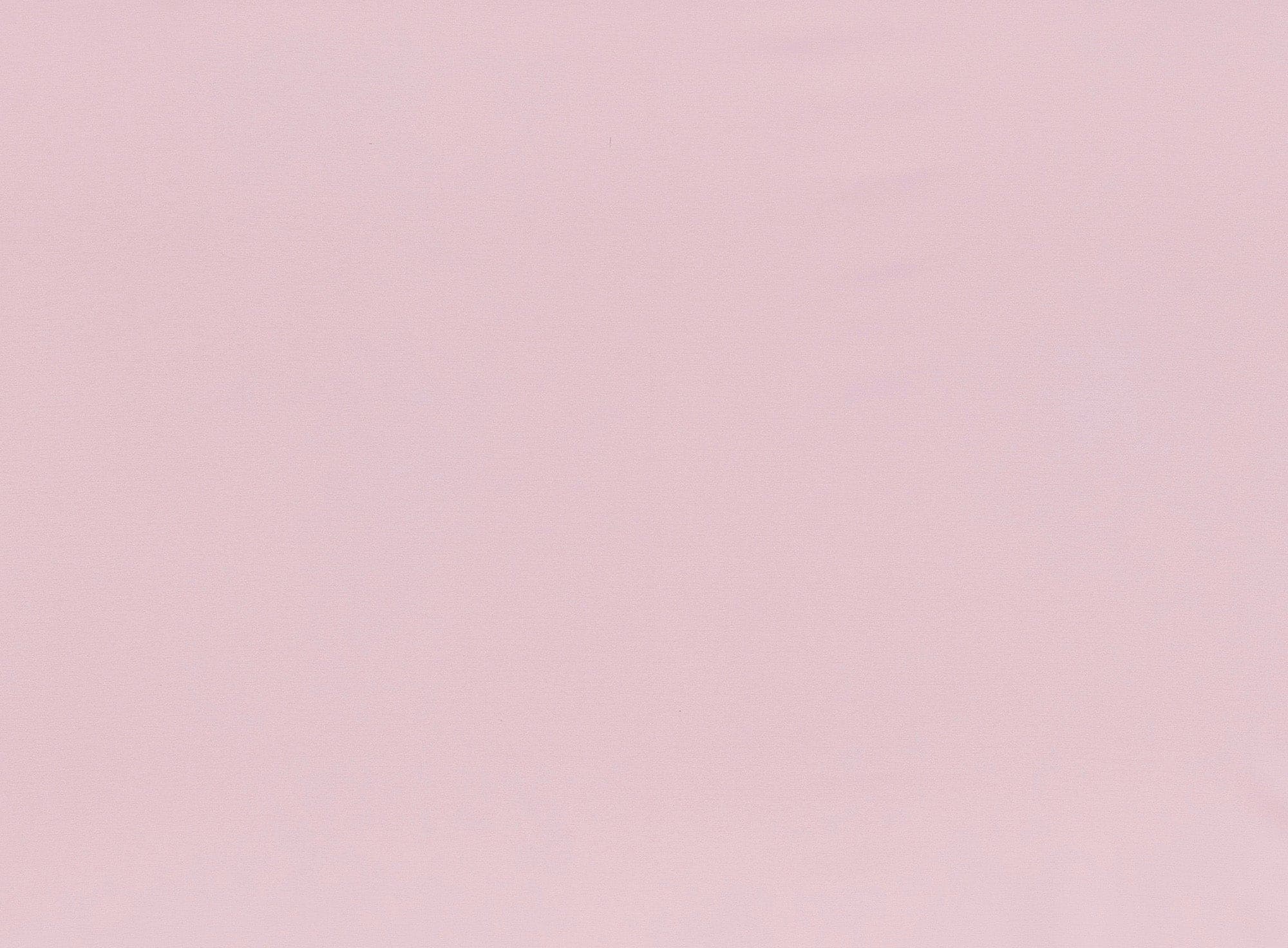 #color_311 CLOUD PINK