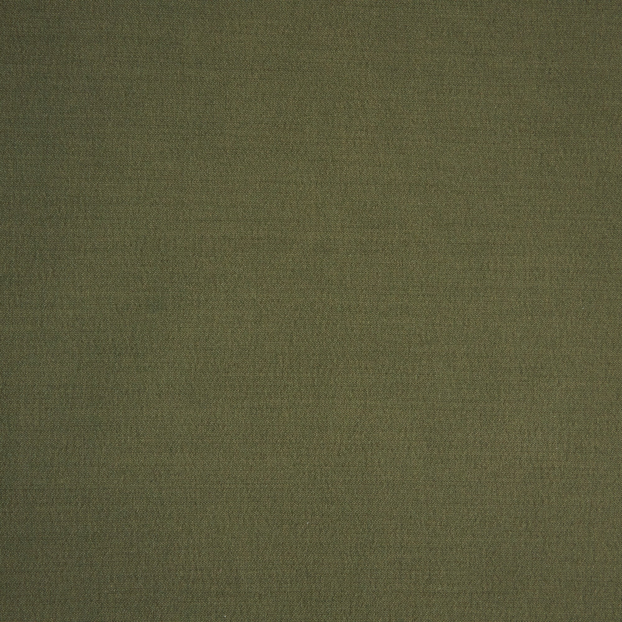 #color_FINE OLIVE