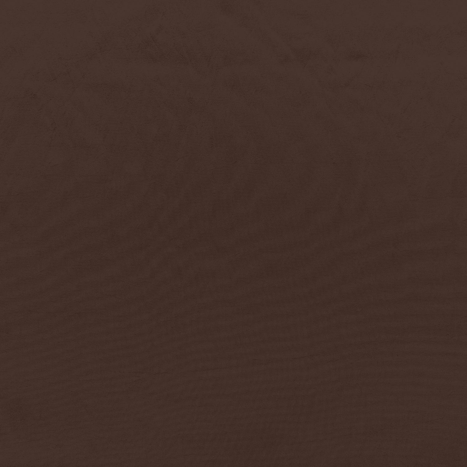#color_EJ LATTE