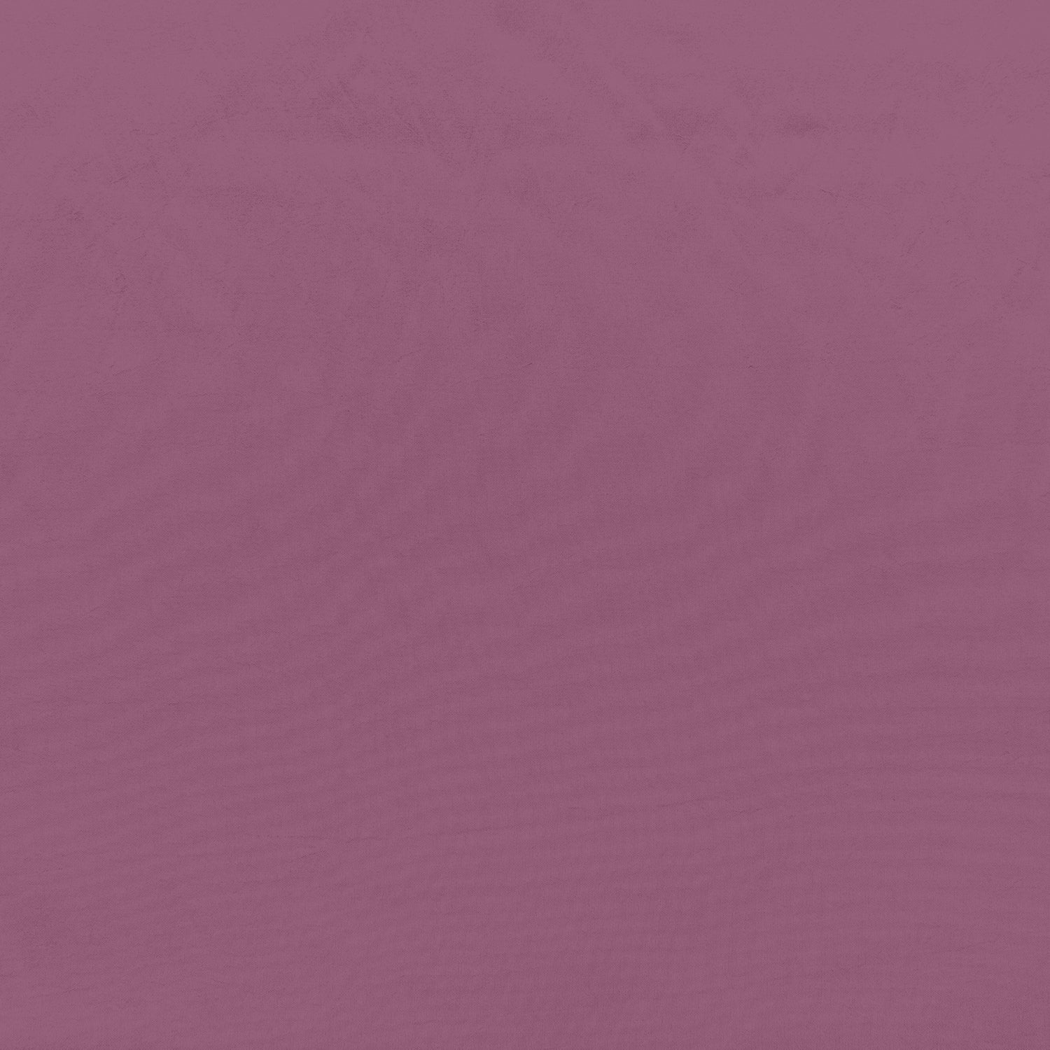 #color_FUNKY ROSE