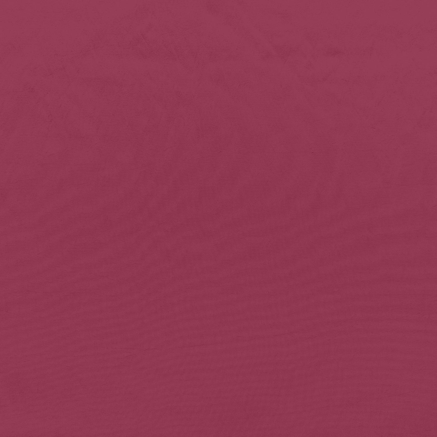 #color_JELLO PINK