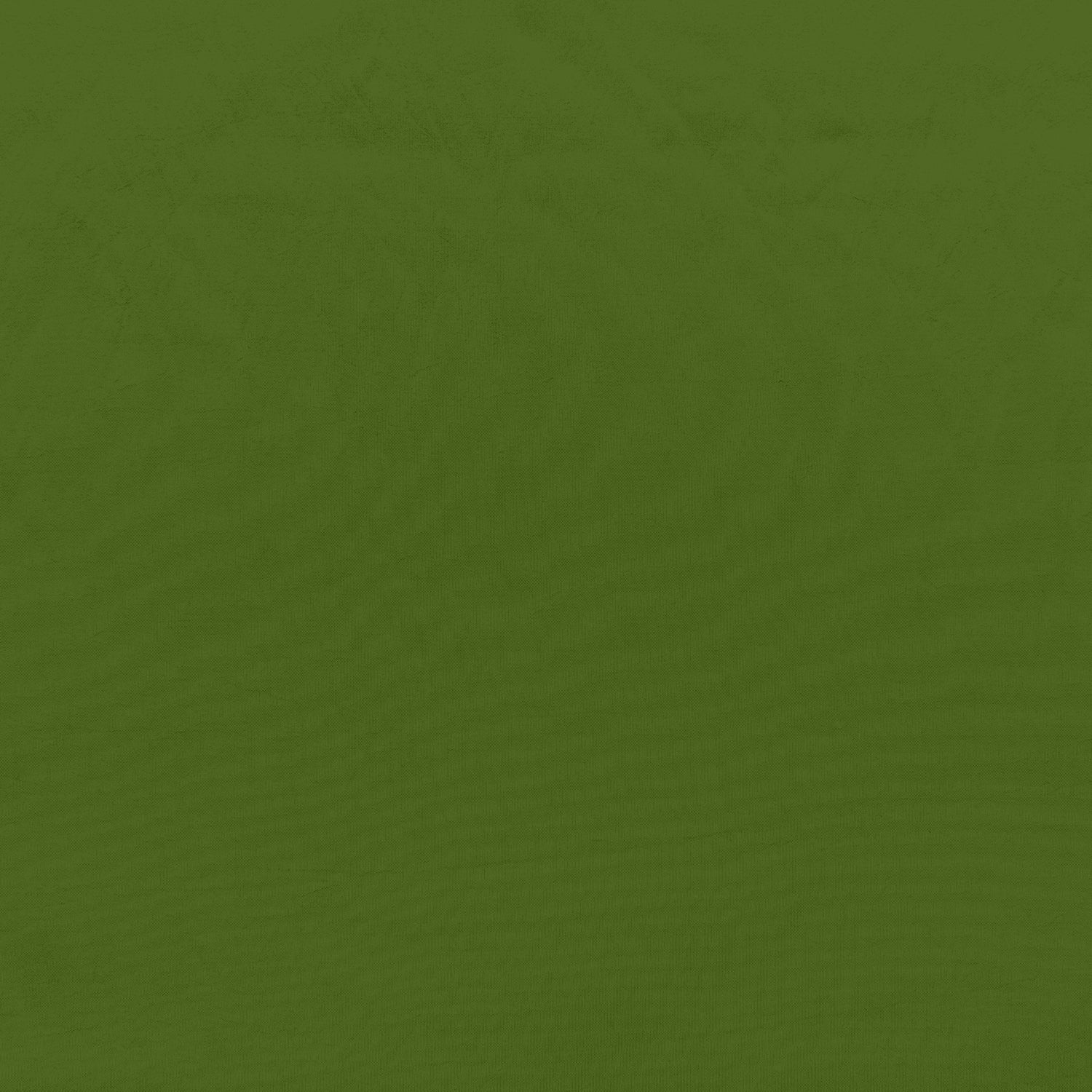 #color_LIME PUNCH