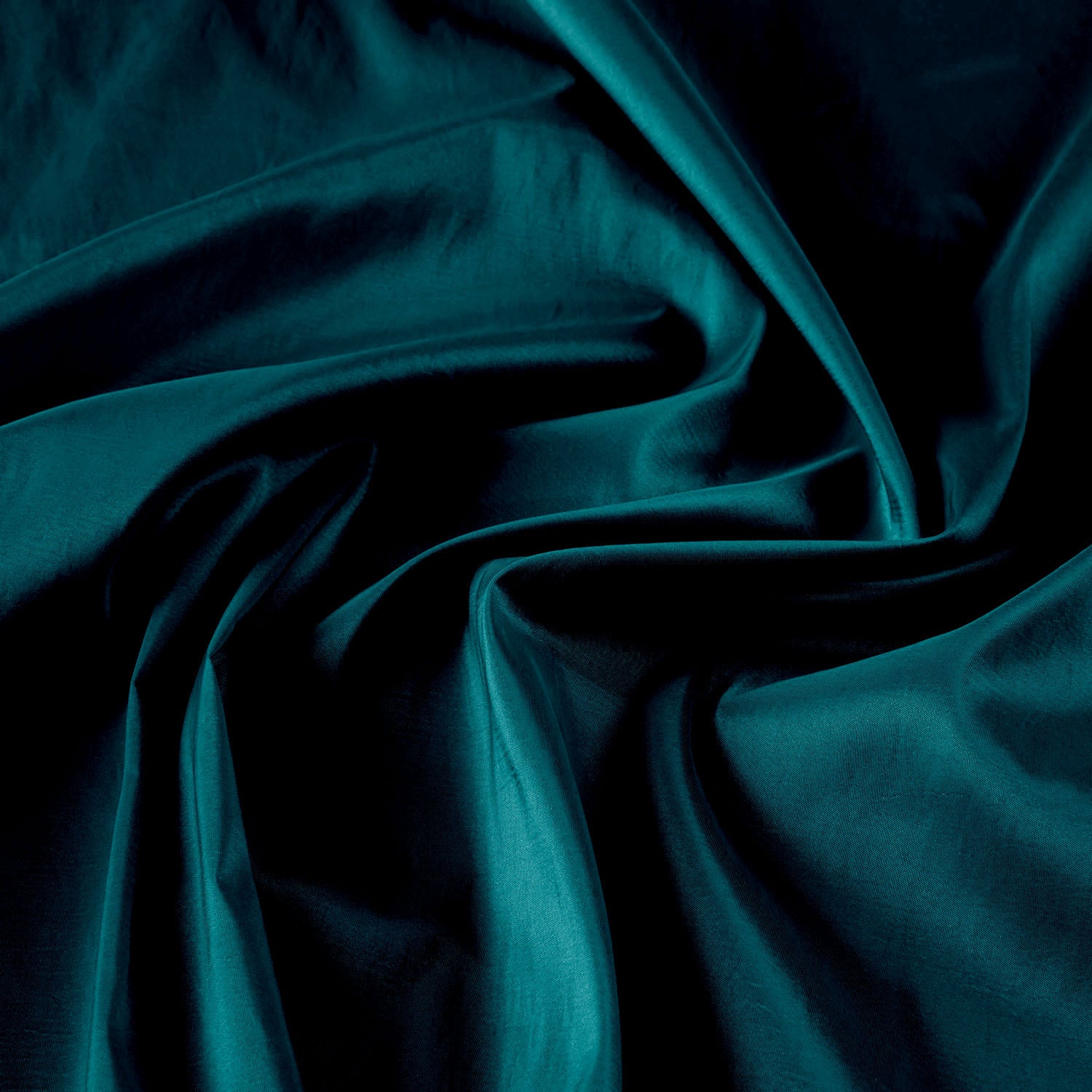 #color_PEACOCK FEATHER