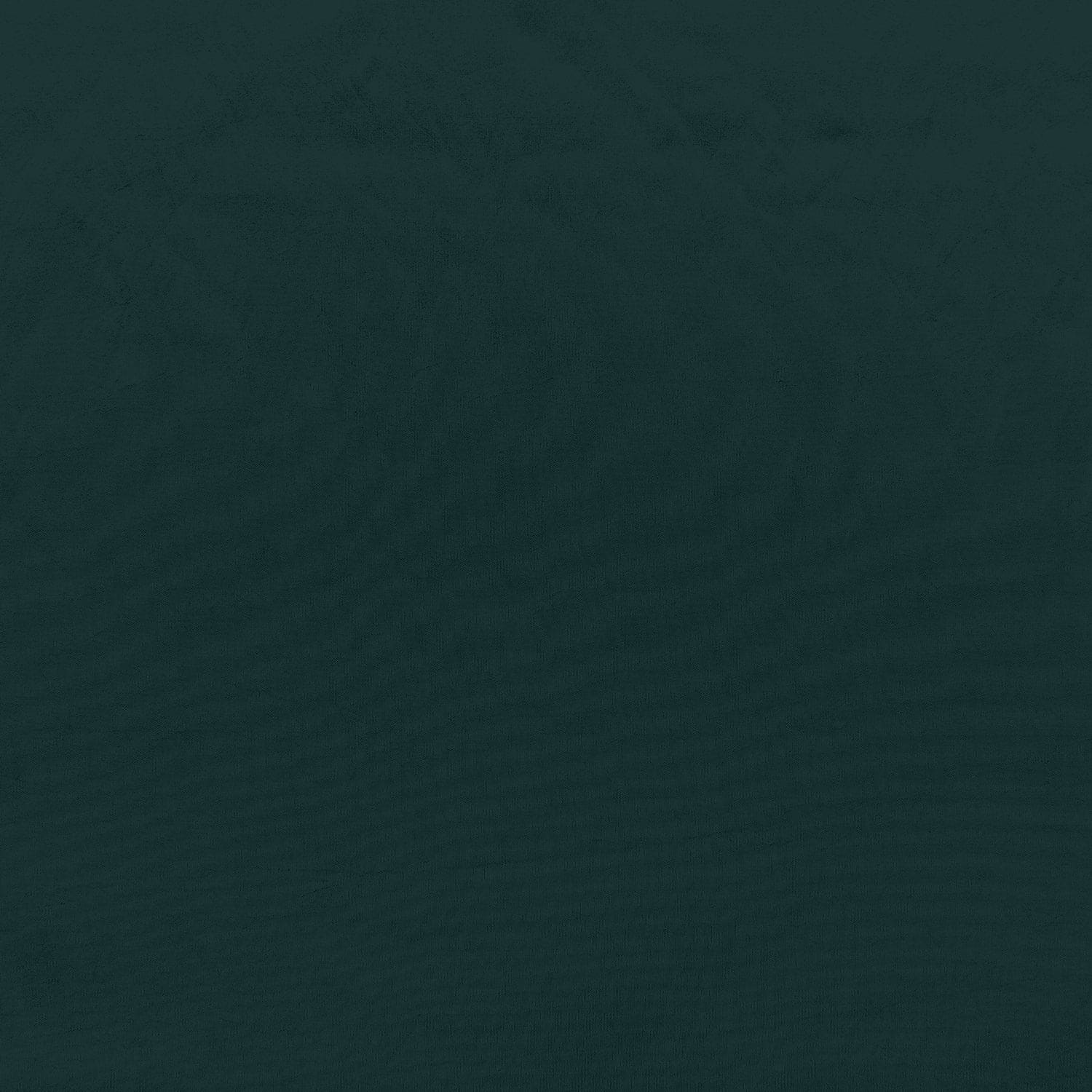 #color_SEAFOAM DOVE