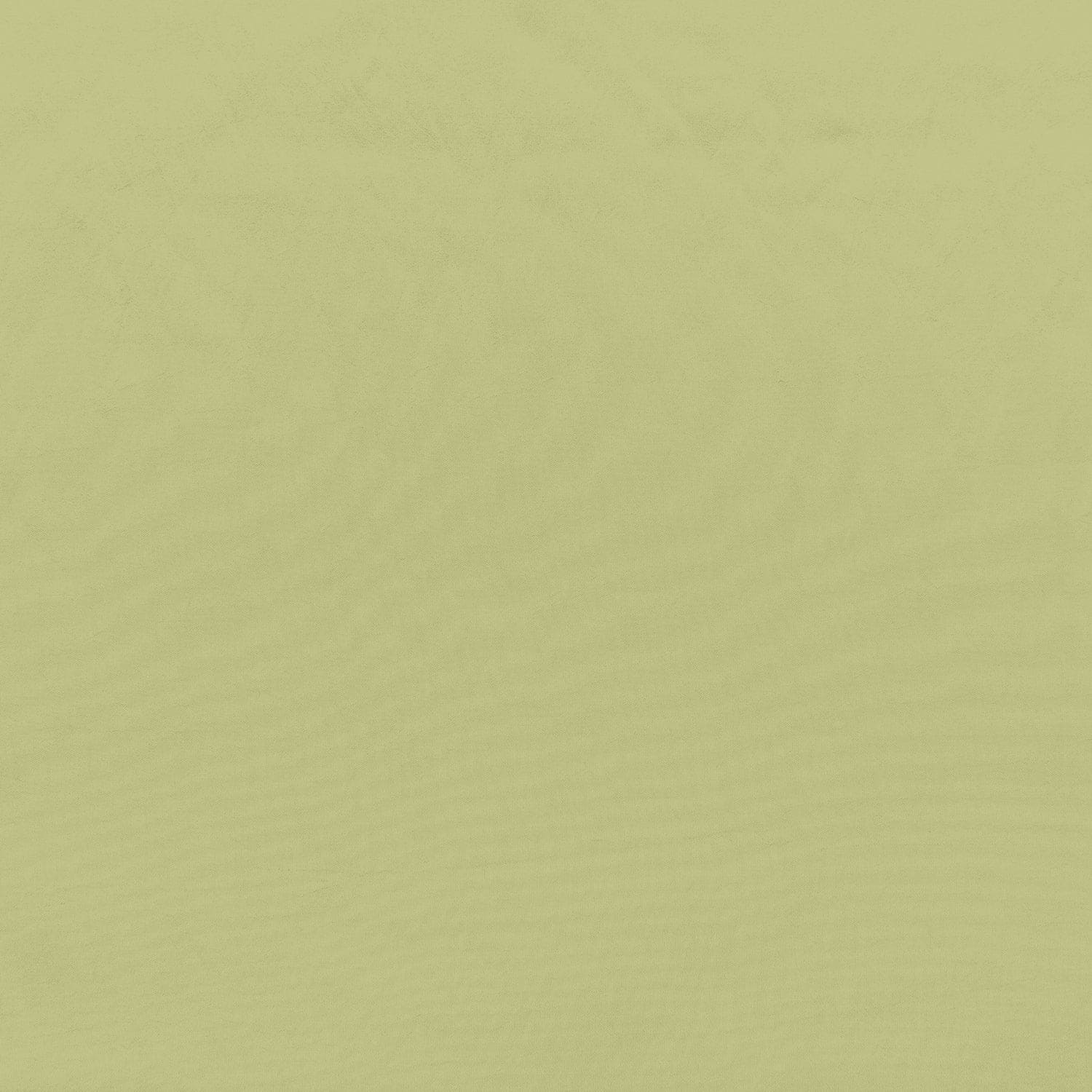 #color_SPRAY LIME