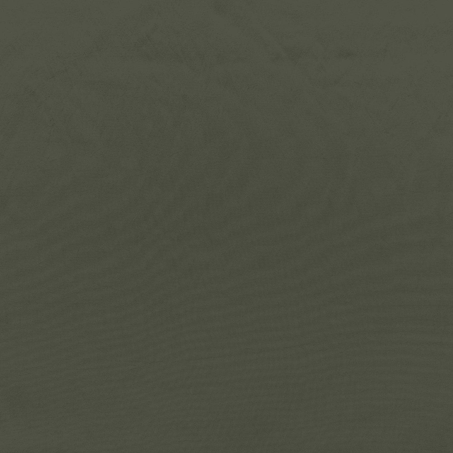 #color_SULTRY SAGE