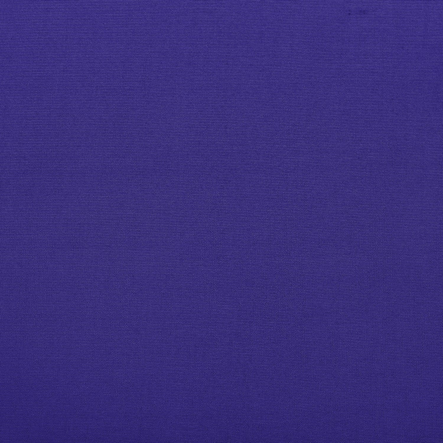 #color_GRAPE ZING