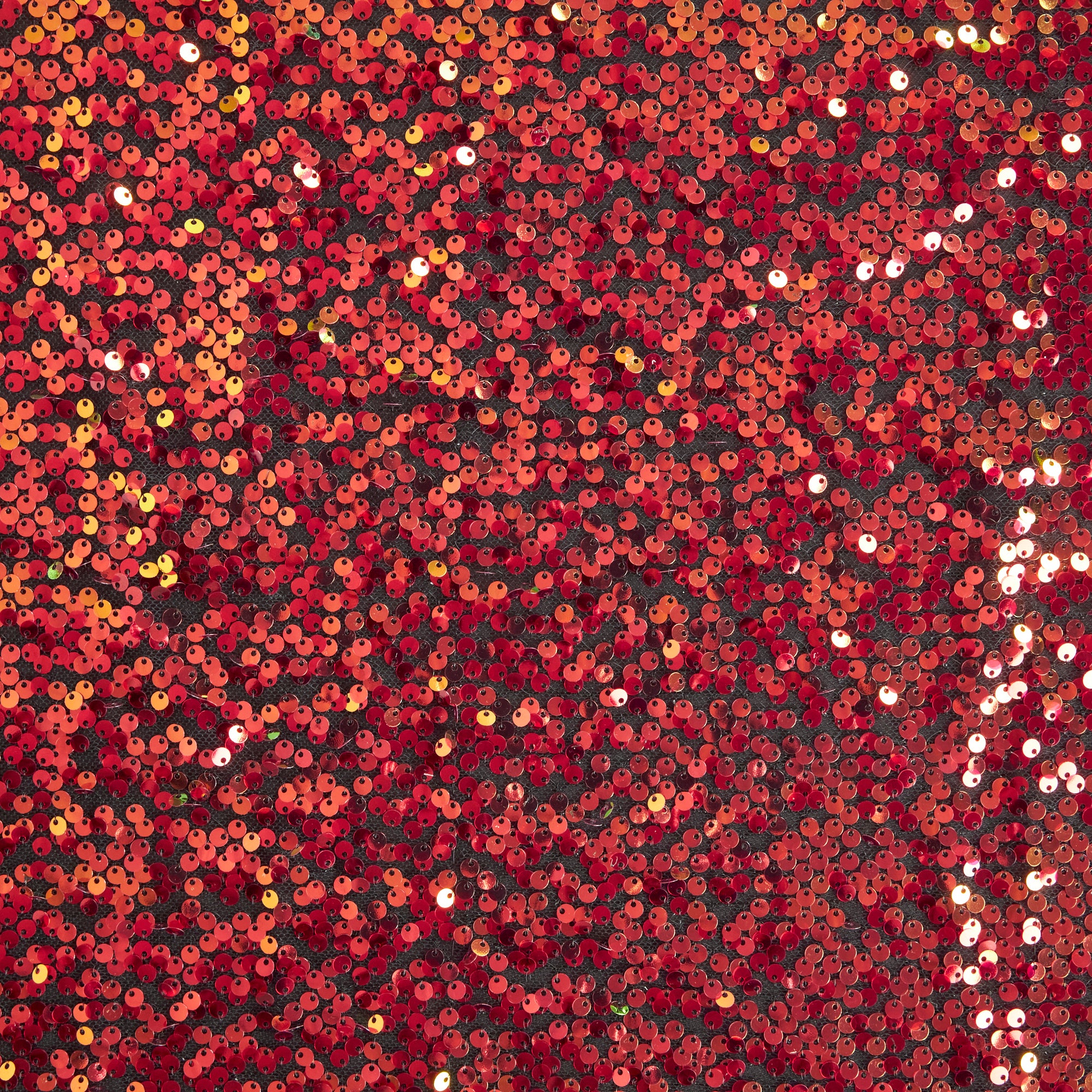 #color_BLACK/RASBERRY | 26547