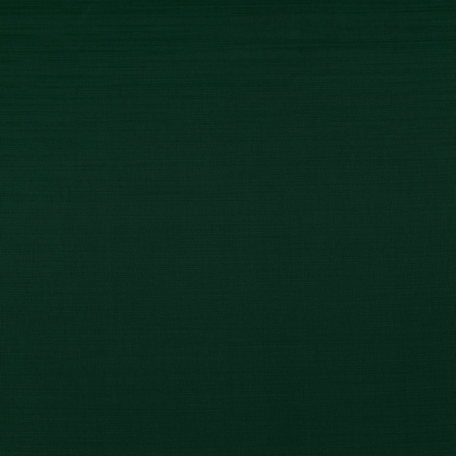 #color_INTENSE PEACOCK