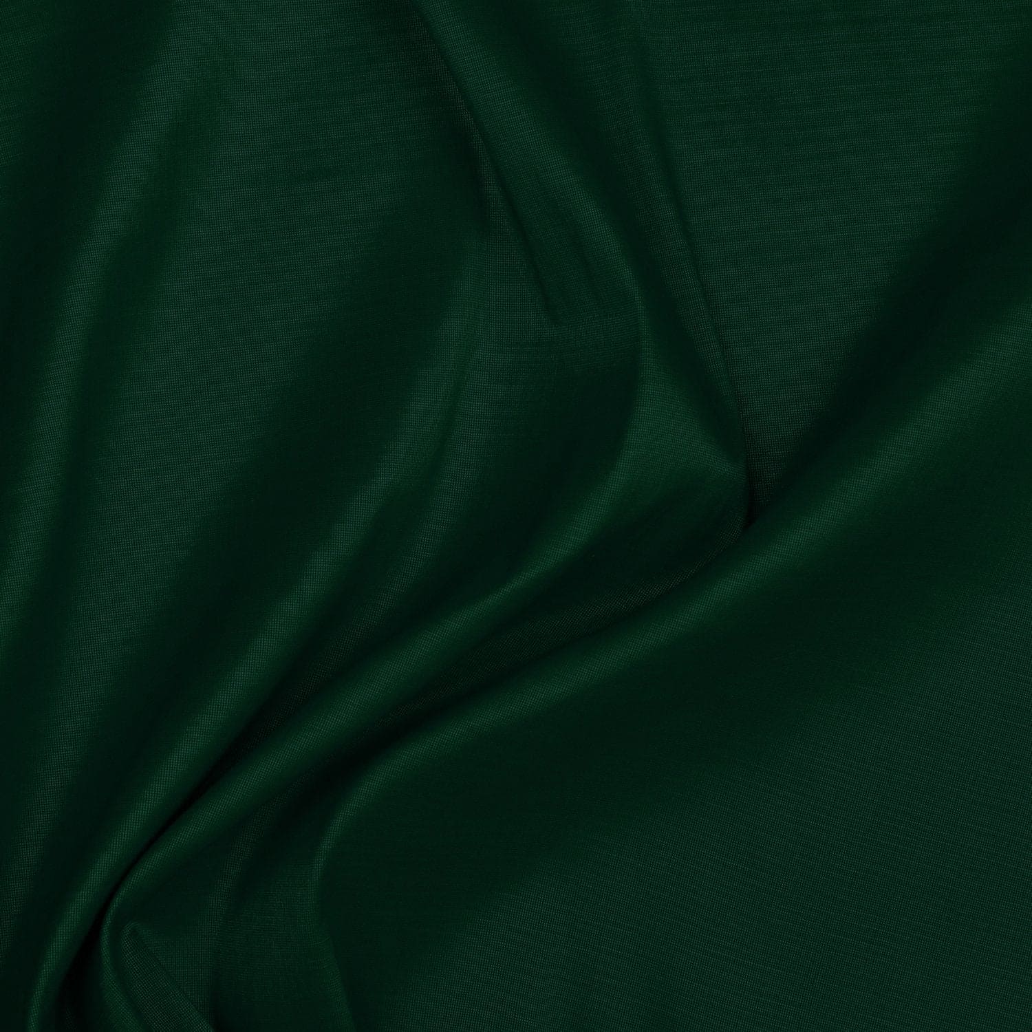 #color_INTENSE PEACOCK