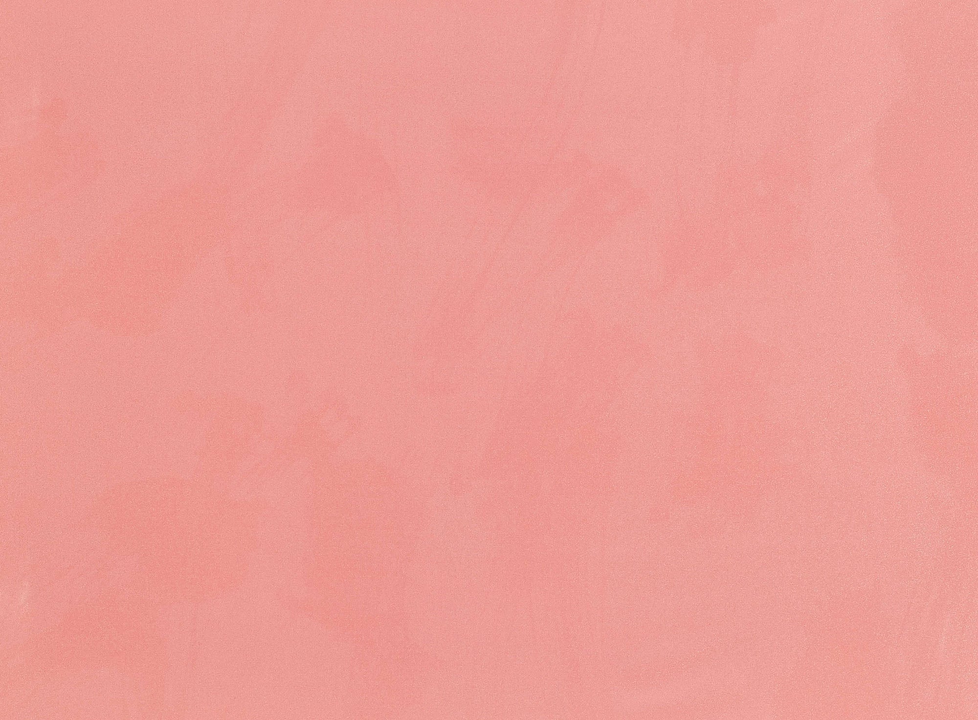 #color_ORANGE PAINT