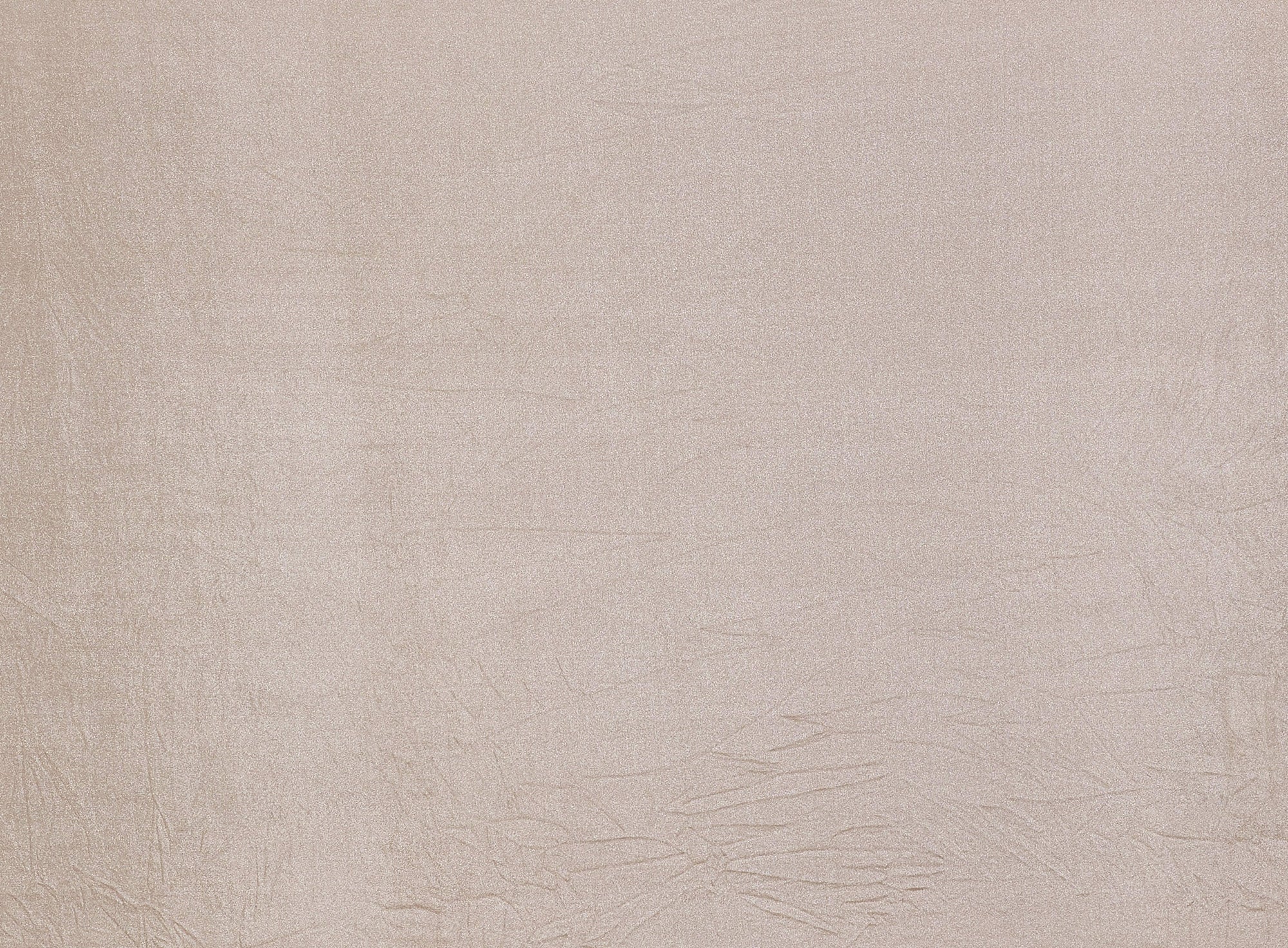 #color_NUDE SHELL/SIL