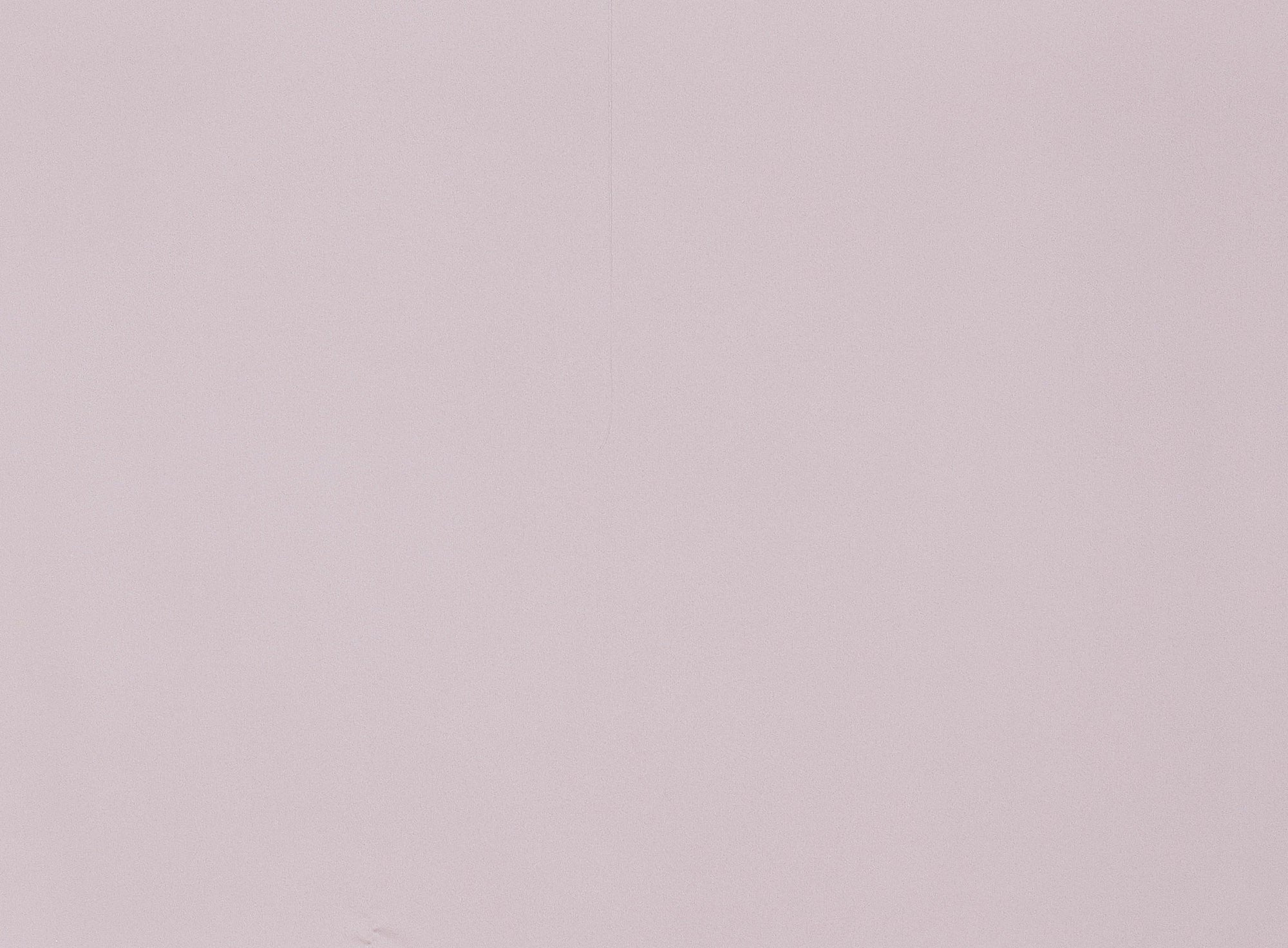 #color_311 BALLET BLSH