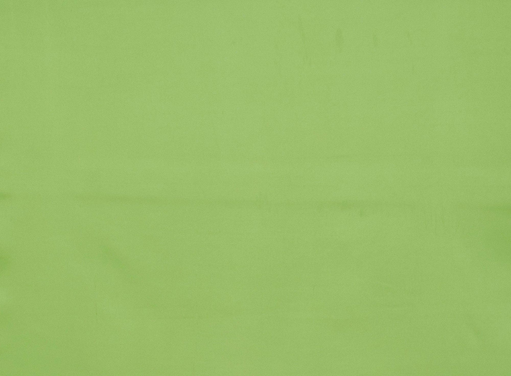 #color_BALI LIME