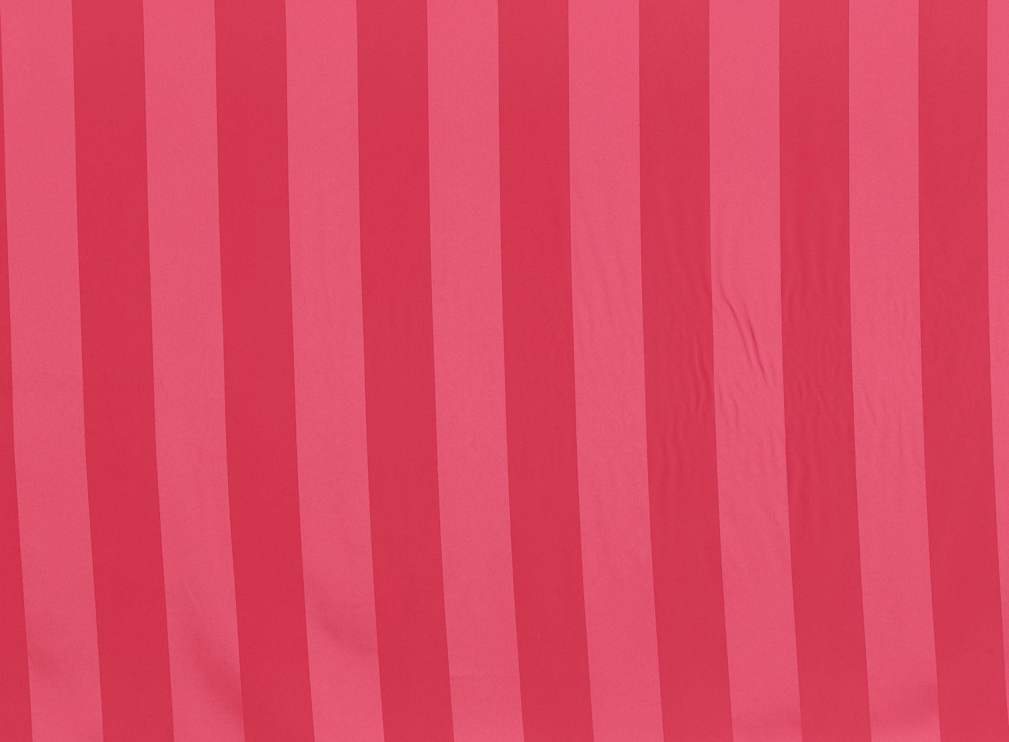 #color_DASHING CORAL