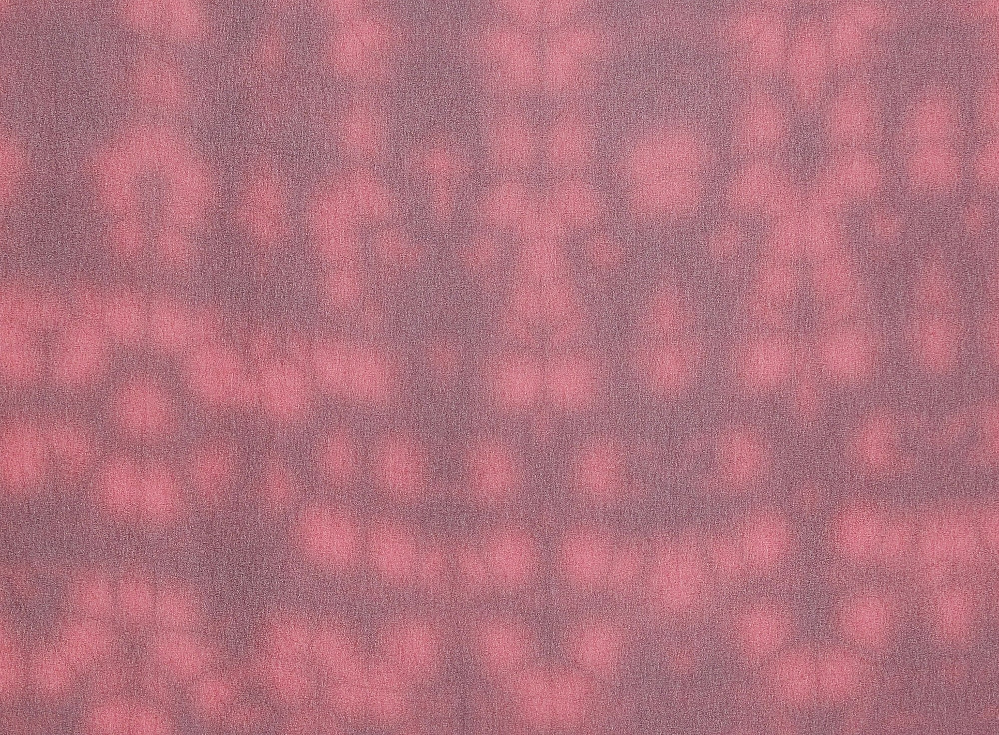 #color_JAS.RED