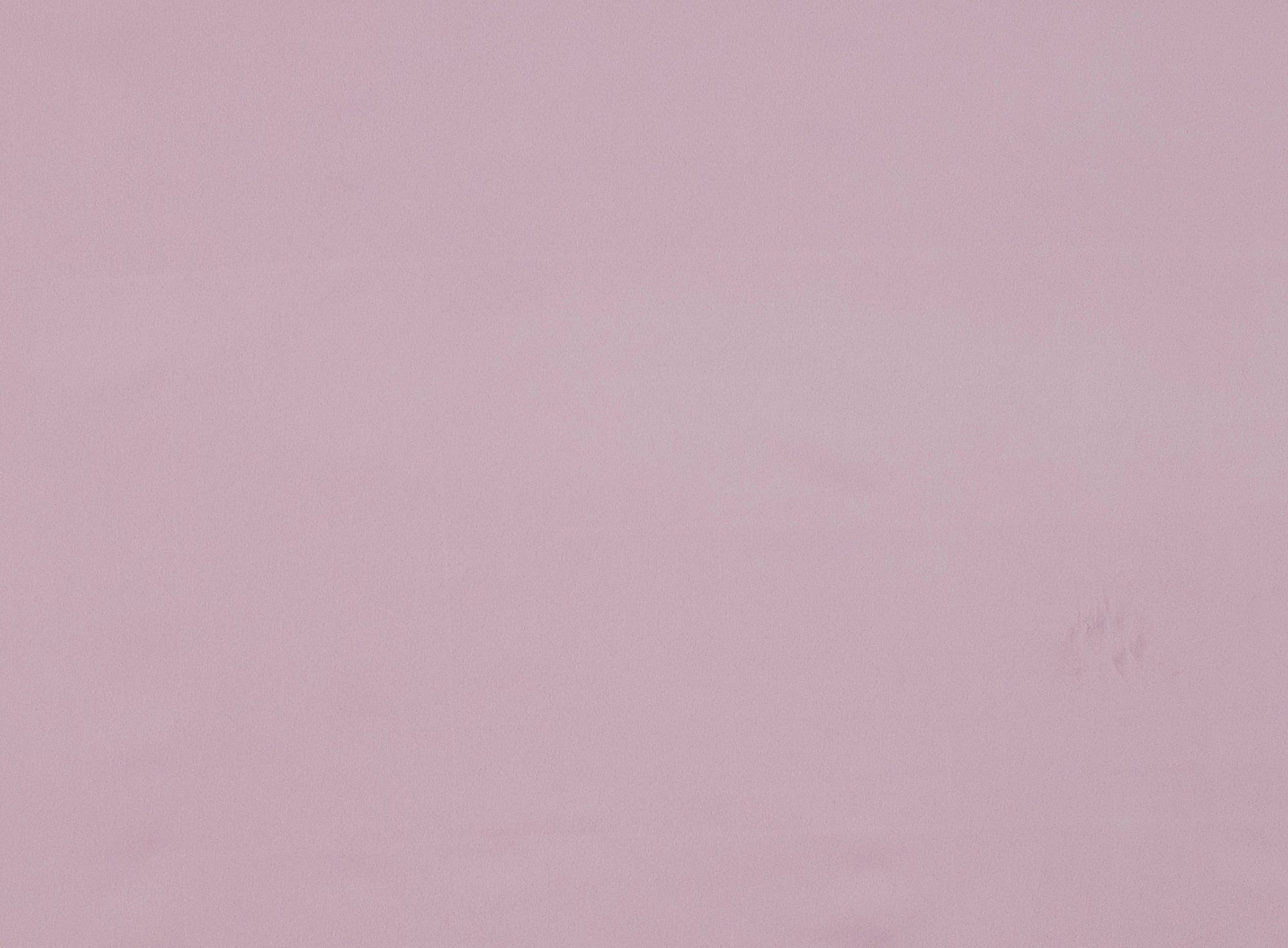 #color_BEBE PINK