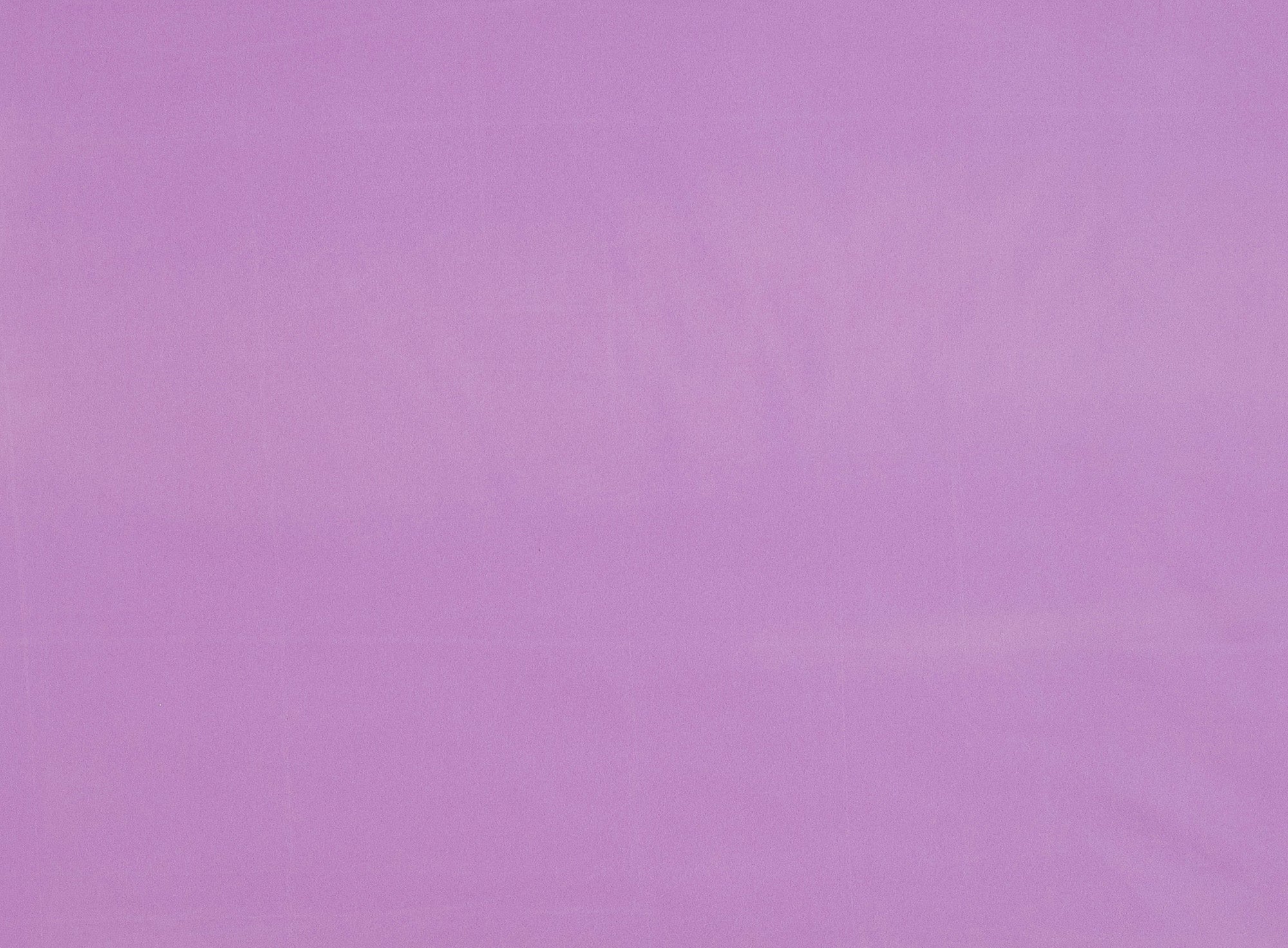#color_WILD ORCHID