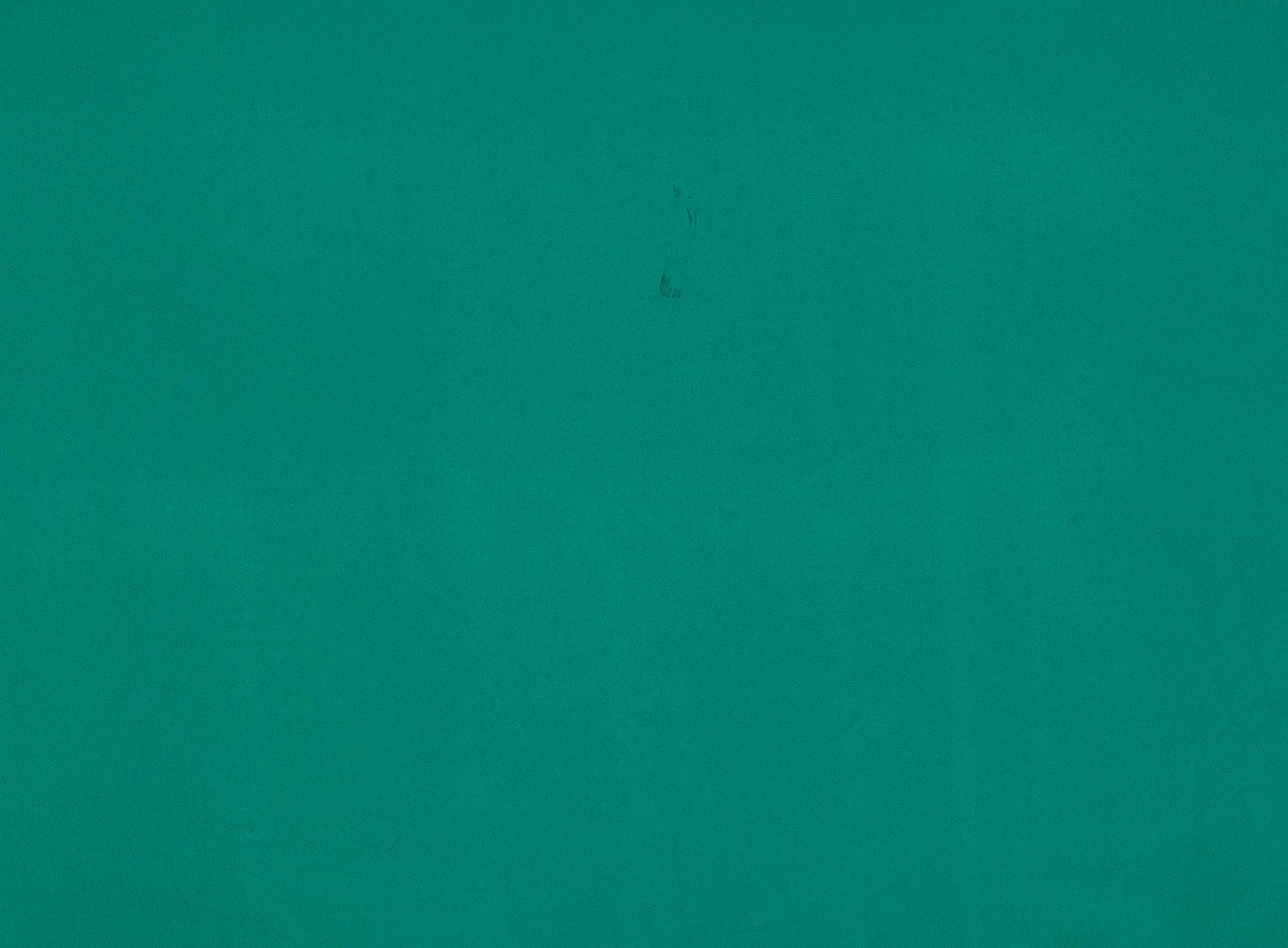 #color_777 KELLY