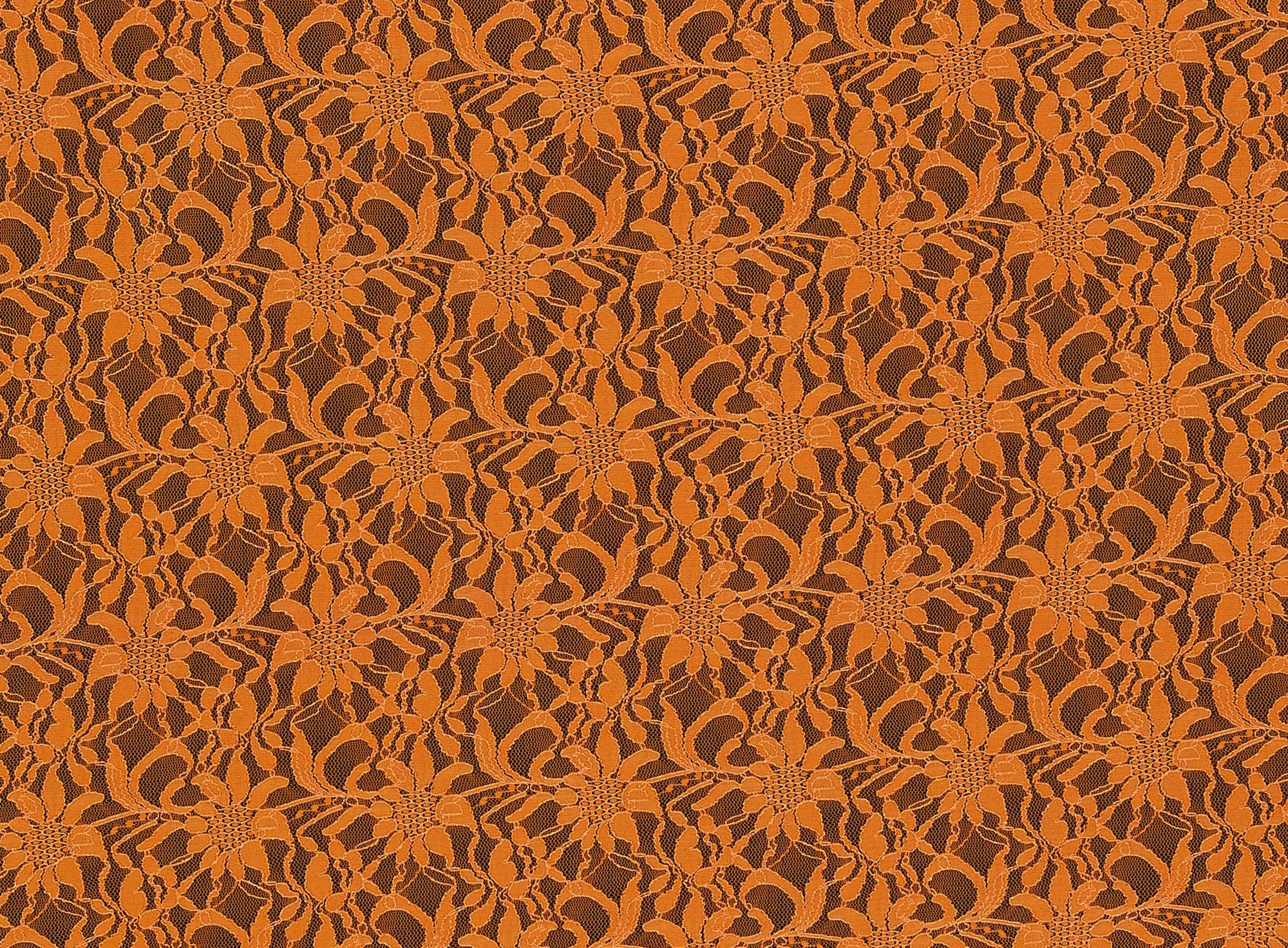 #color_NEON ORANGE