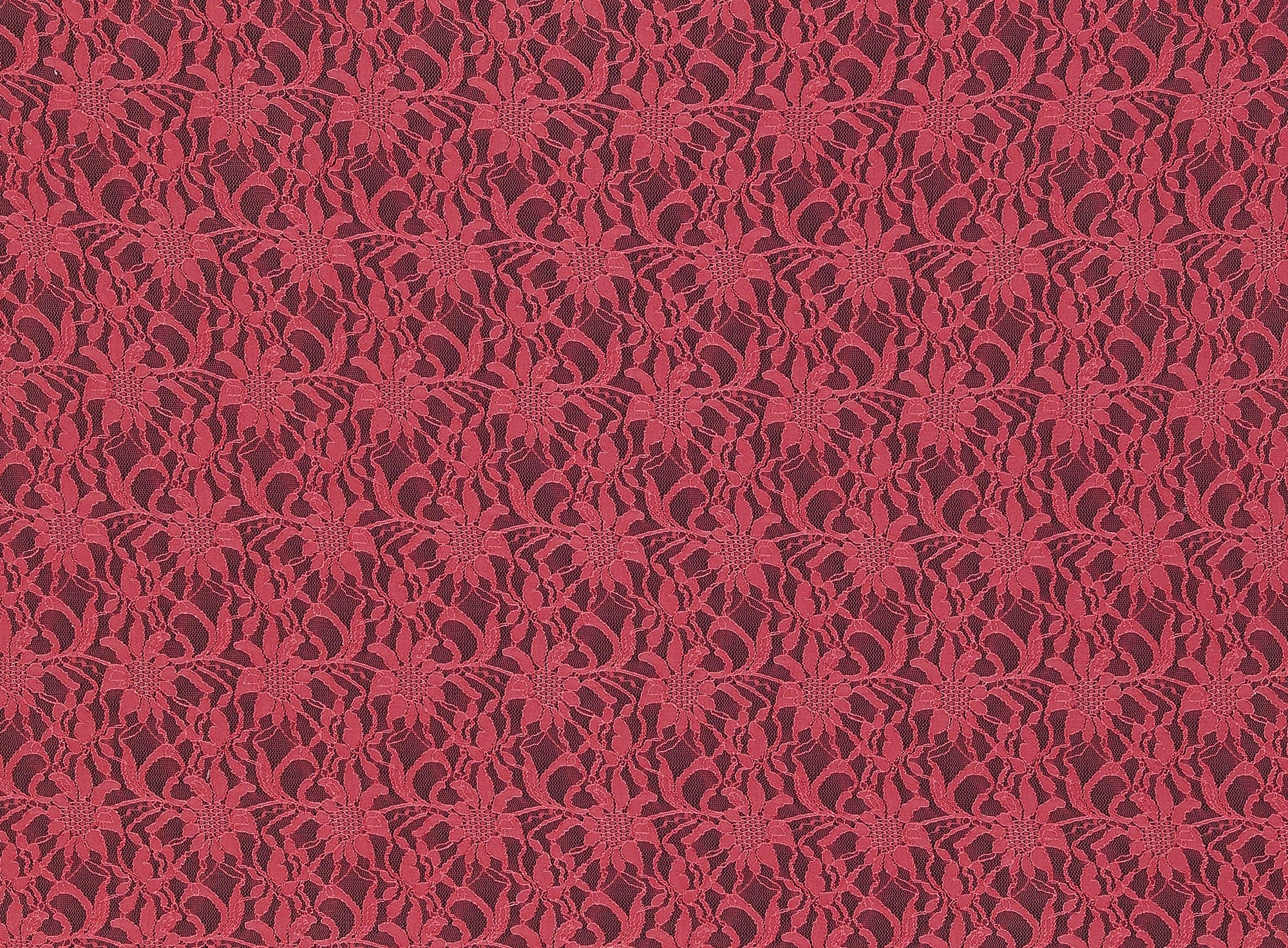 #color_QUINCE FROST