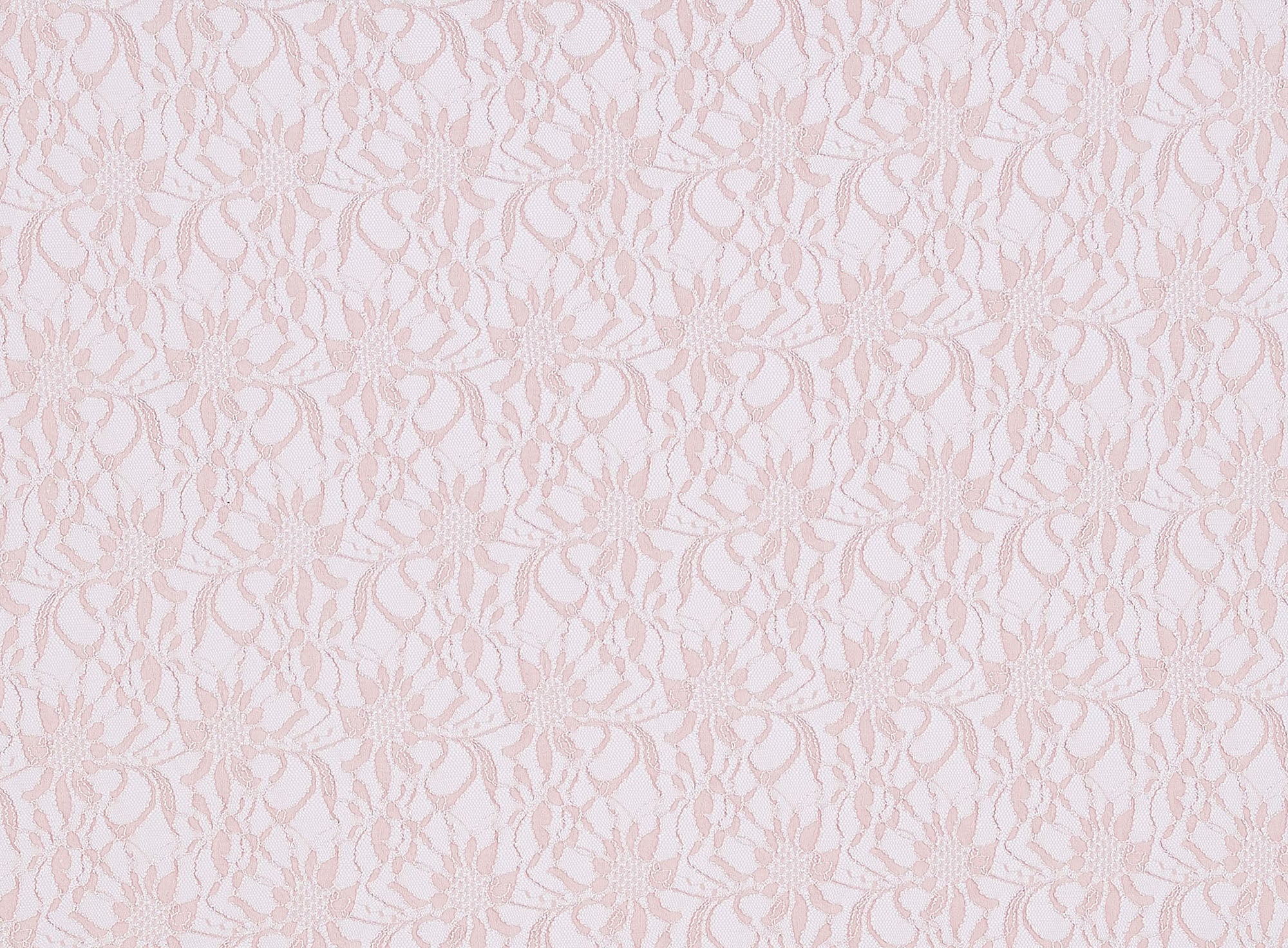 #color_MAUVE DEW